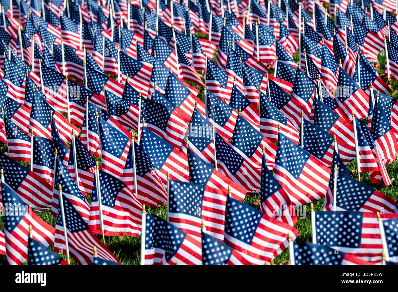 Drapeaux américains sur le National Mall Washington DC // WASHINGTON DC — des rangées de petits drapeaux américains sont bien en vue sur le National Mall. Ces drapeaux sont un spectacle commun, souvent installés en grand nombre pour créer un puissant hommage visuel. Ils commémorent généralement les fêtes patriotiques comme le jour du souvenir et le jour de l'indépendance. Ils servent également à honorer les anciens combattants et les militaires tombés au combat, reflétant le souvenir national. Le National Mall est un espace civique important dans la capitale nationale, accueillant fréquemment de telles installations patriotiques. Banque D'Images