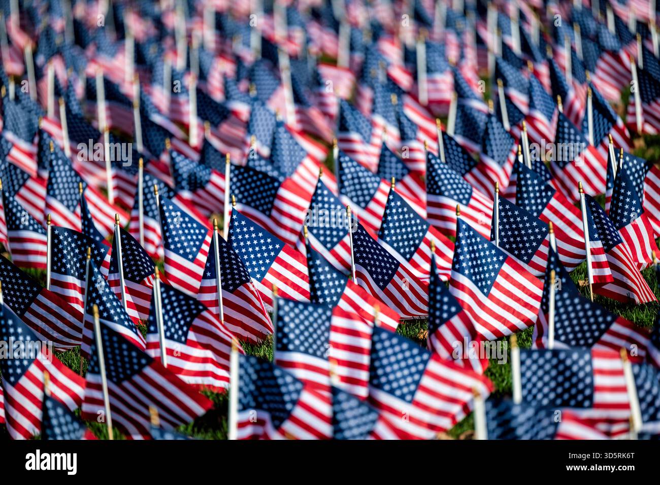 Drapeaux américains sur le National Mall Washington DC // WASHINGTON DC — des rangées de petits drapeaux américains sont bien en vue sur le National Mall. Ces drapeaux sont couramment utilisés pour commémorer les fêtes patriotiques comme le jour du souvenir et le jour de l'indépendance. Ils servent également de puissant hommage visuel pour honorer les vétérans et les militaires tombés au combat. Le National Mall est un important parc national en plein air dans le centre-ville de Washington DC, servant souvent de site pour des commémorations nationales et des rassemblements publics. Banque D'Images
