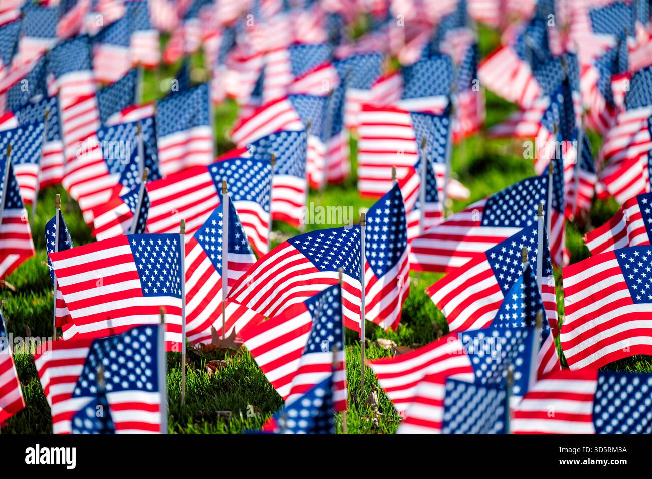 Drapeaux américains sur le National Mall Washington DC // WASHINGTON DC — de nombreux petits drapeaux américains sont plantés en rangées sur le National Mall. Ces affichages de drapeaux sont un spectacle commun, honorant les anciens combattants et les militaires tombés au combat. Ils commémorent également les fêtes patriotiques comme le jour du souvenir, le jour de l'indépendance et le jour des anciens combattants. Le National Mall, un parc national situé dans le centre-ville de Washington DC, est un lieu de prédilection pour les célébrations et commémorations nationales. Banque D'Images