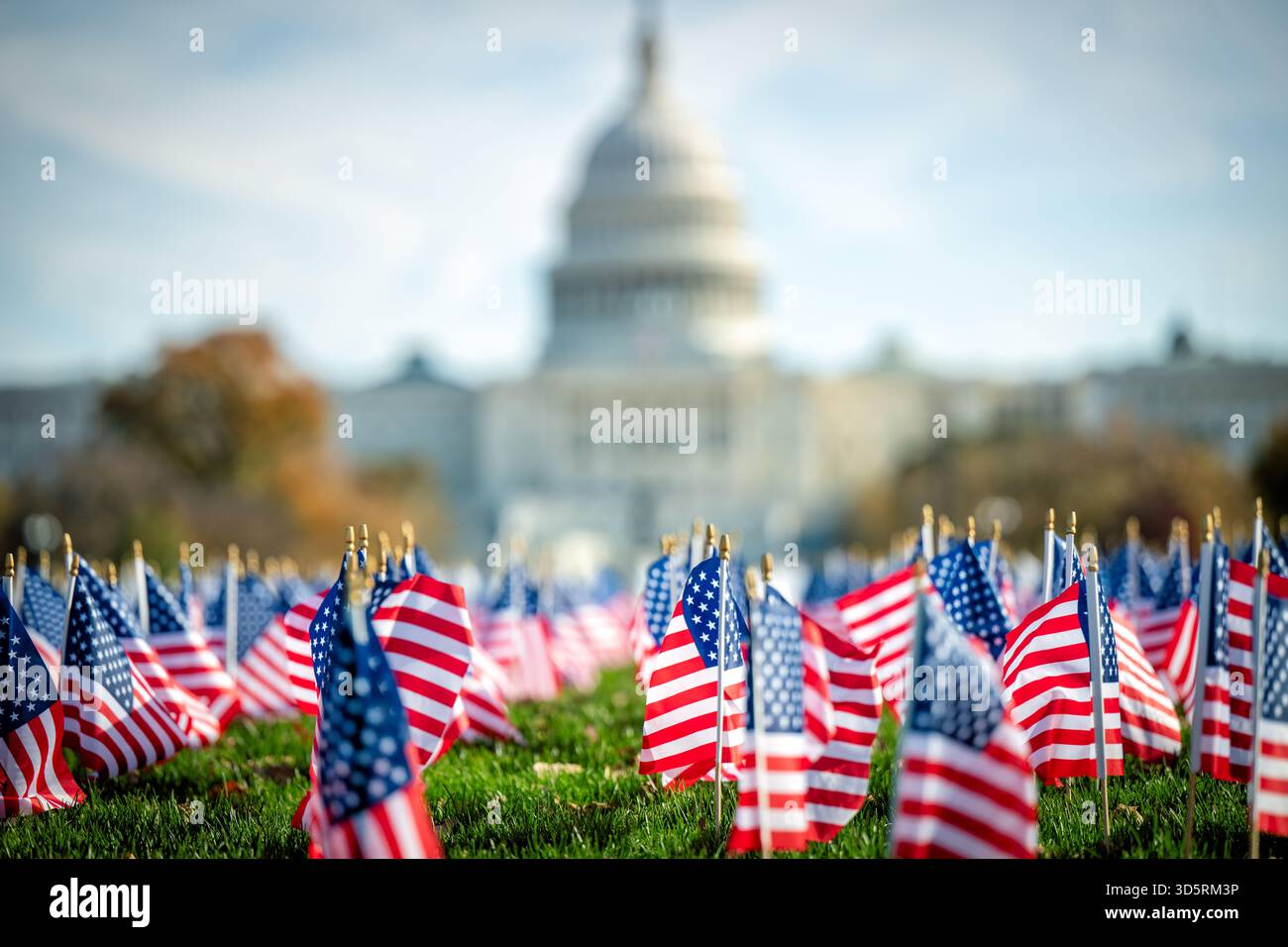 Drapeaux américains sur le National Mall avec le Capitole des États-Unis Washington DC // WASHINGTON DC — des drapeaux américains sont affichés sur le National Mall. Le Capitole des États-Unis est visible en arrière-plan. Ces petits drapeaux commémorent des événements, honorent les anciens combattants ou célèbrent des fêtes nationales. Le bâtiment néoclassique du Capitole des États-Unis abrite le Congrès des États-Unis, servant de lieu de réunion de la branche législative et un symbole de la démocratie américaine. Le National Mall, un parc national, s'étend du Lincoln Memorial au Capitole. Banque D'Images