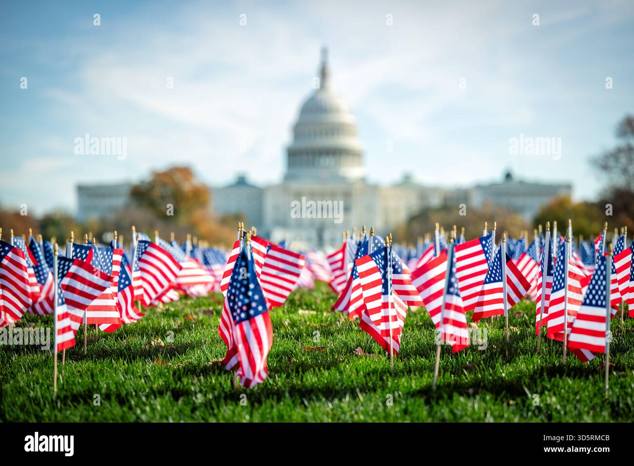 Drapeaux AMÉRICAINS sur le National Mall avec le Capitole des États-Unis Washington DC // WASHINGTON DC — de petits drapeaux américains sont affichés sur le National Mall, souvent placés pour commémorer des événements nationaux, des fêtes ou pour honorer des membres du service militaire et des vétérans. Le dôme distinctif du Capitole des États-Unis est visible en arrière-plan. Le Capitole abrite le Congrès des États-Unis, la branche législative du gouvernement fédéral. Le National Mall est un important parc national en plein air à Washington D.C. servant d'espace civique et cérémoniel majeur. Banque D'Images