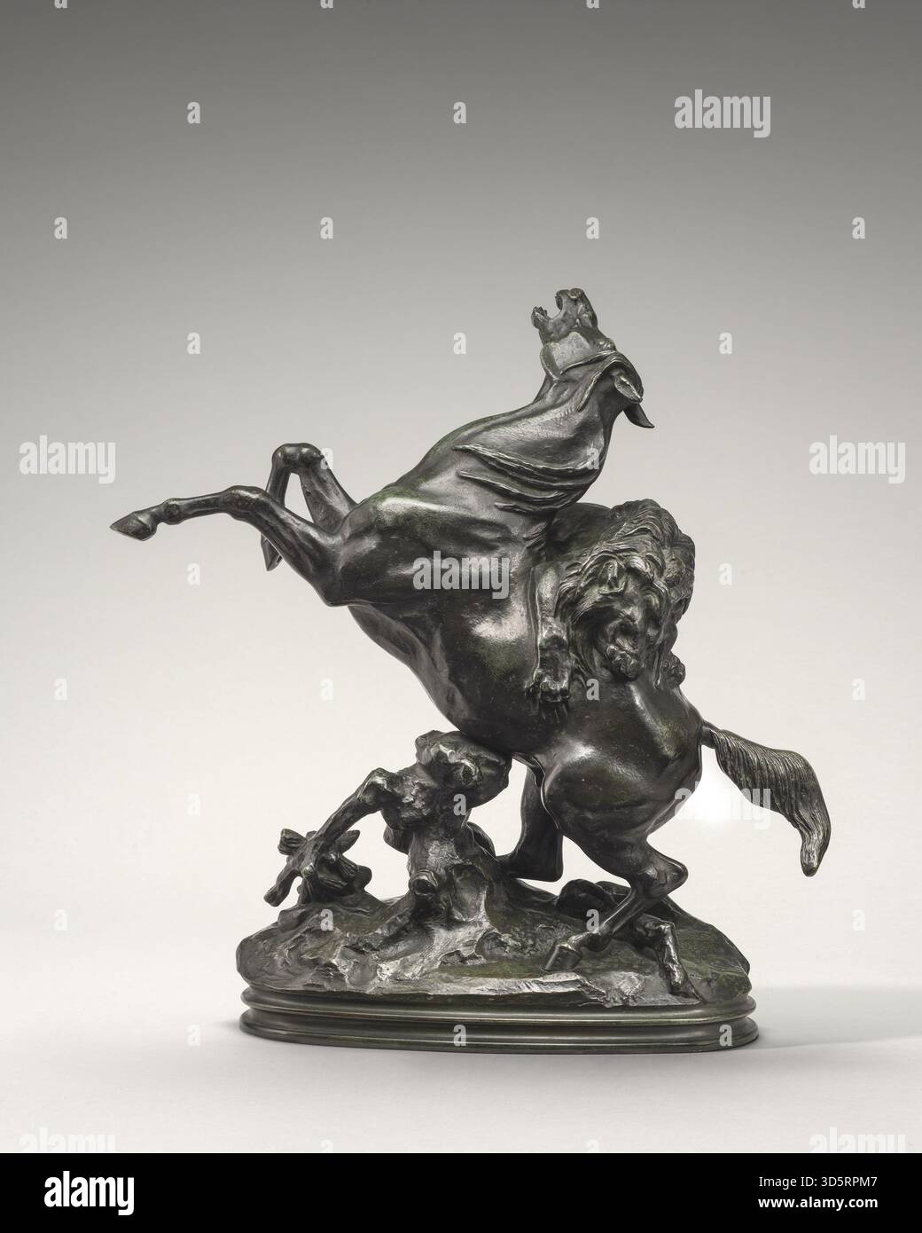 Sculpture en bronze d'Antoine Louis Barye, coulée de 1857 à 1873, représentant un cheval attaqué par un lion, montrant l'anatomie, le mouvement et la composition dynamique des équidés et des lions. Banque D'Images