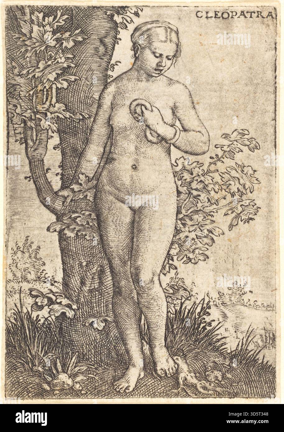 Cette gravure de 1524 de Barthel Beham représente Cléopâtre, montrant une figure féminine, une tenue élaborée, une coiffe, une posture royale et une composition de portraits de la Renaissance. Banque D'Images