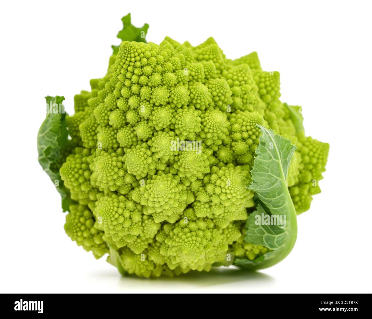 Chou-fleur Romanesco isolé sur fond blanc Banque D'Images
