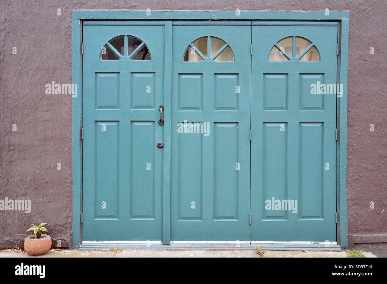 Mur violet muet avec triple portes bleues poussiéreuses sur une maison de San Francisco, avec plâtre texturé et une petite plante en pot Banque D'Images
