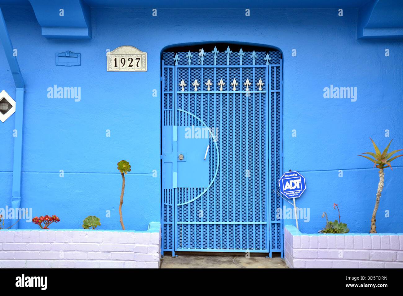 Extérieur bleu vif de la maison San Francisco avec une porte décorative en métal, la maison numéro 1927, et de petites plantes le long de l'entrée Banque D'Images