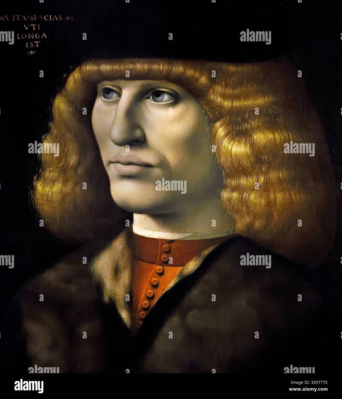 Jeune homme par Giovanni Antonio Canal 1467-1516 15-16ème siècle, l'Italie, l'italien. Banque D'Images