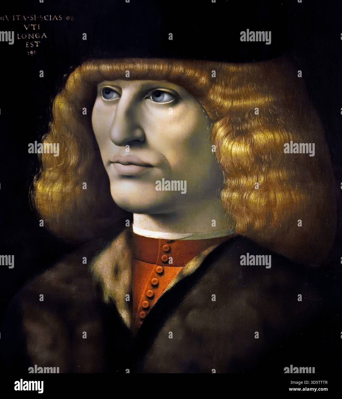 Jeune homme par Giovanni Antonio Canal 1467-1516 15-16ème siècle, l'Italie, l'italien. Banque D'Images