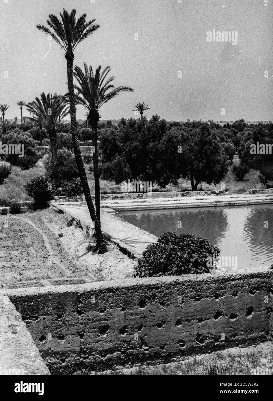 Jardin du Palais Royal à Marrakech, Maroc Banque D'Images