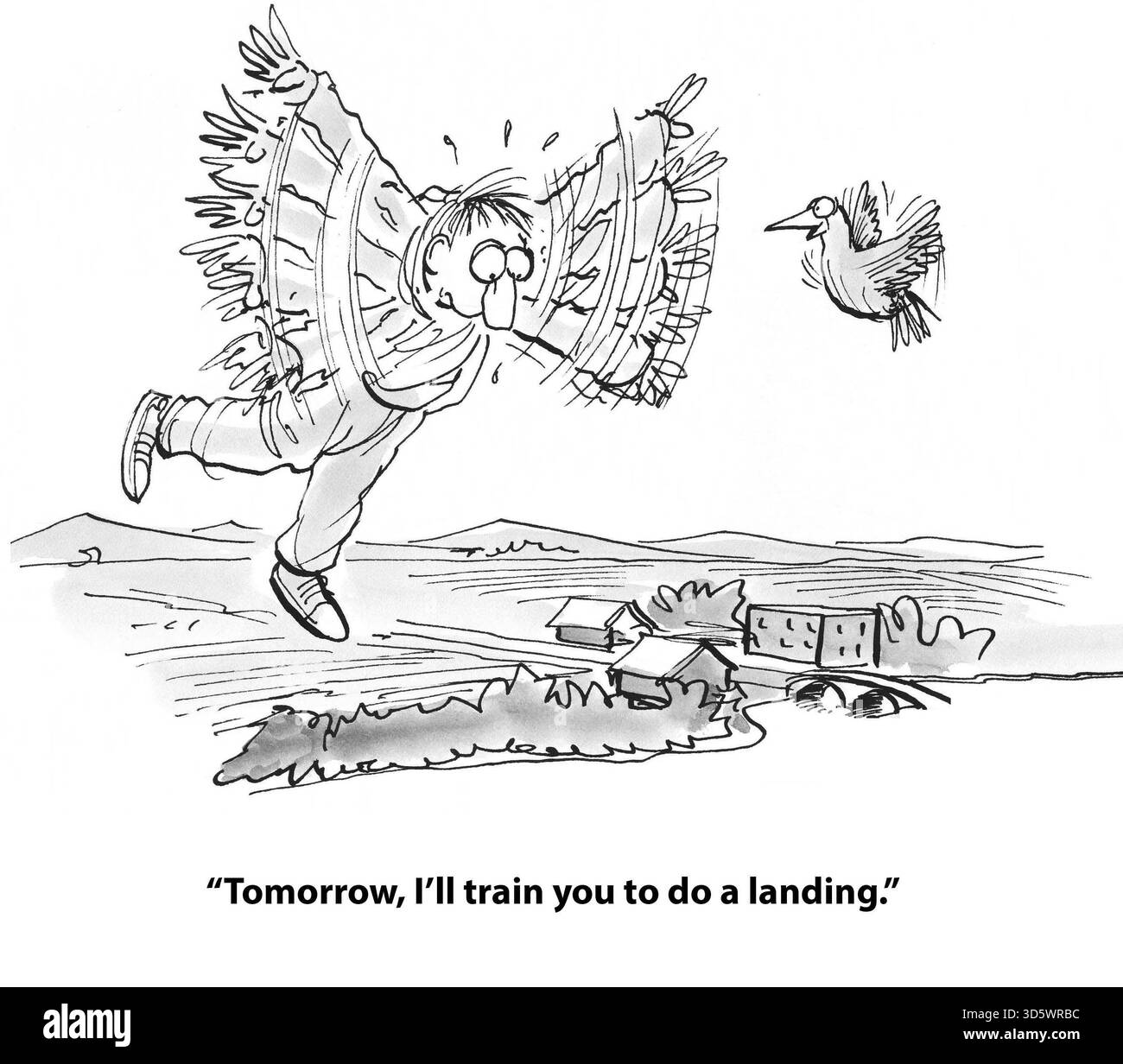bird entraînera l'homme à faire l'atterrissage Banque D'Images