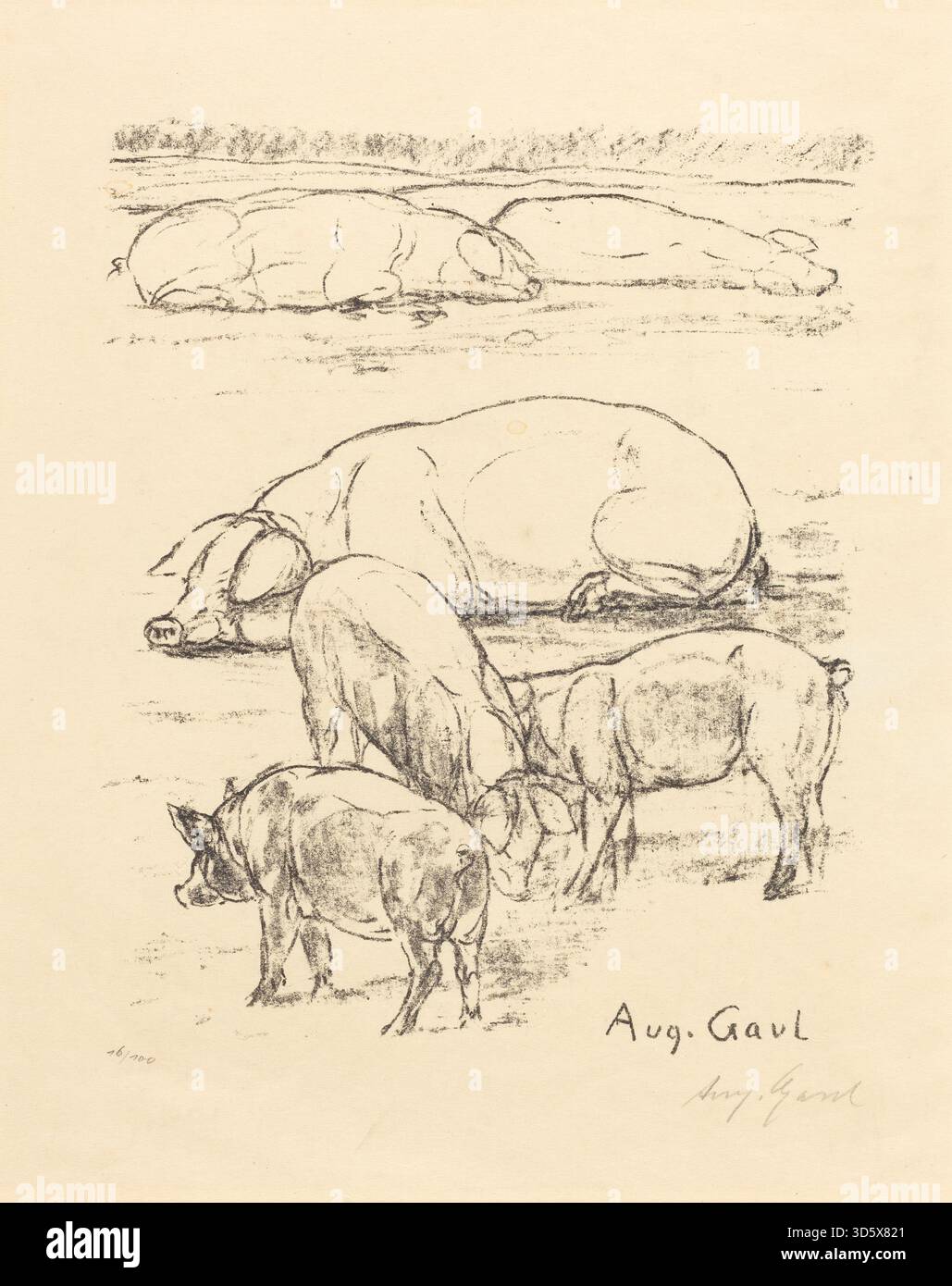Une représentation détaillée des porcs par August Gaul montrant leurs caractéristiques physiques, leur forme corporelle et leur comportement naturel. L'œuvre met l'accent sur la représentation précise de l'anatomie et du mouvement du bétail. Banque D'Images