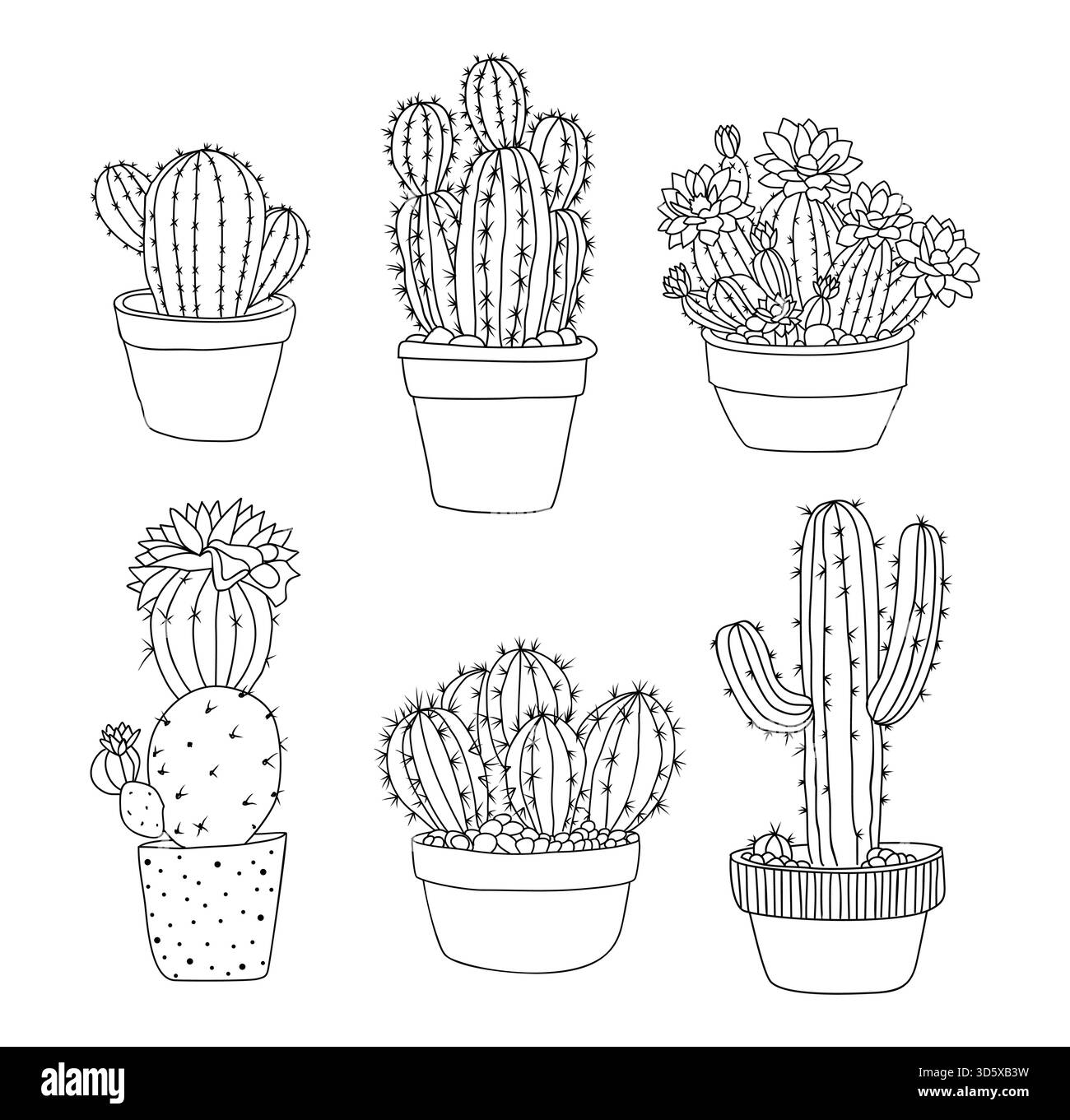 Cactus et plantes succulentes en pot alignent l'art. Illustration de Vecteur