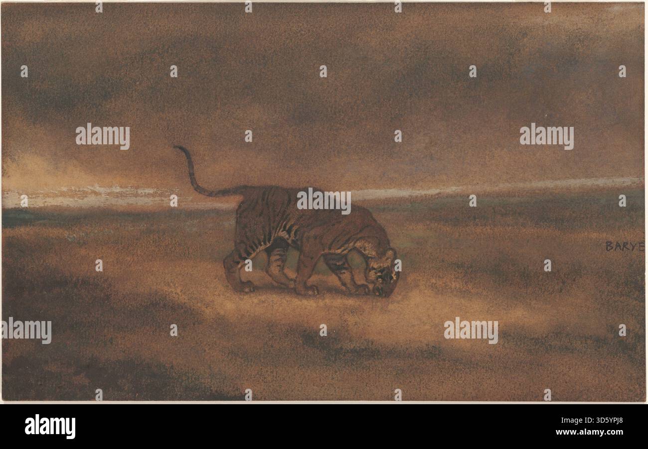 Cette sculpture de tigre en bronze d’Antoine Louis Barye montre une musculature détaillée, une posture dynamique et des textures réalistes, reflétant le style animalier français de l’artiste au XIXe siècle. Banque D'Images