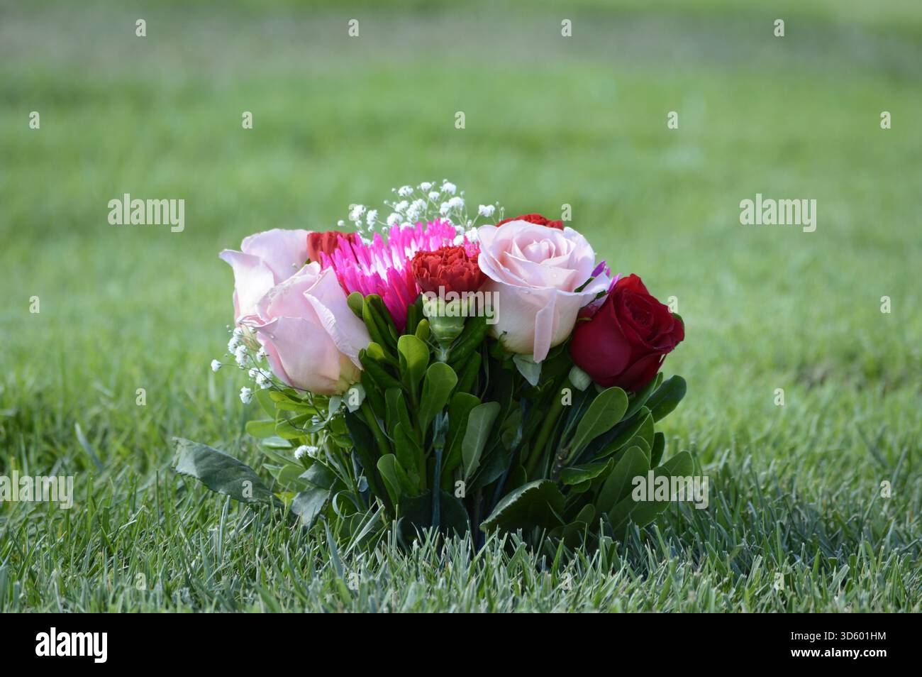 Bouquet de roses colorées avec des roses roses roses et rouges et un souffle de babys blanc disposés sur de l'herbe verte au cimetière. Banque D'Images
