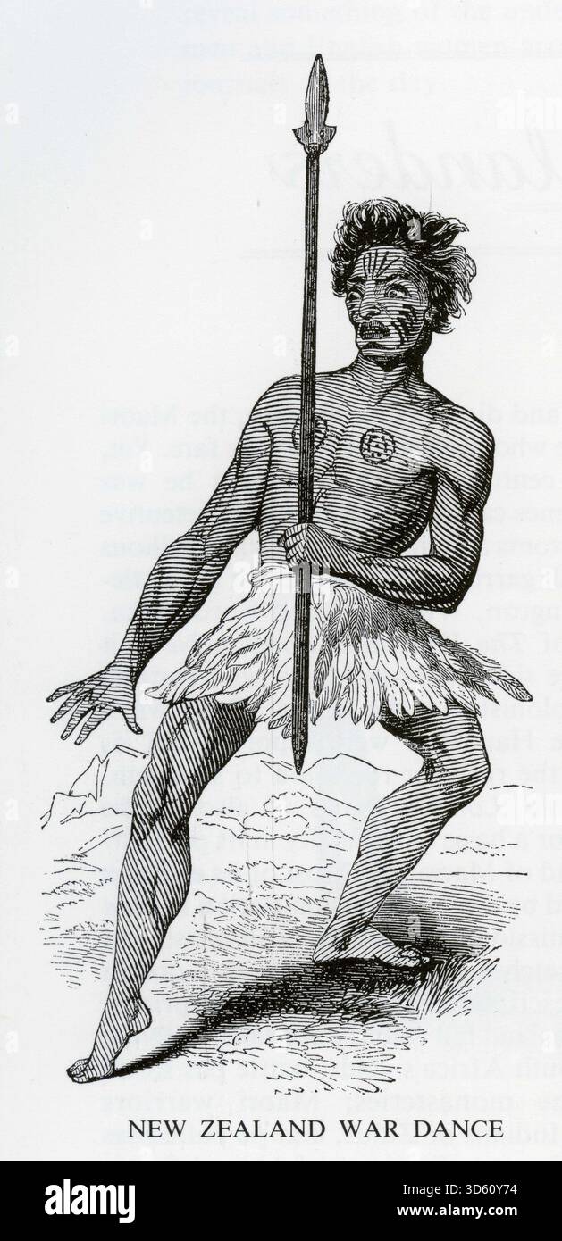 Gravure d'un guerrier maori faisant un haka ou une danse de guerre Banque D'Images
