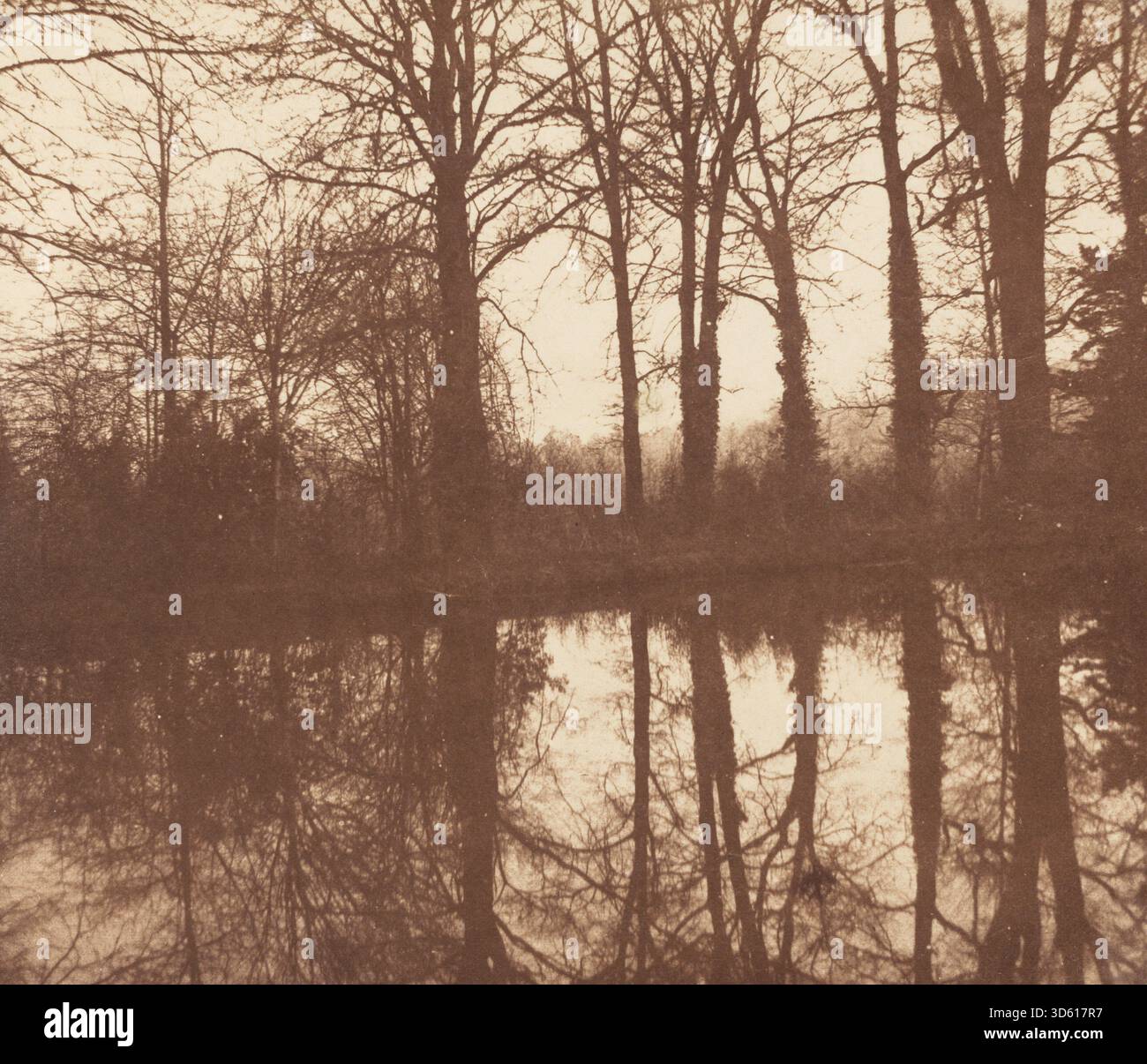Une photographie de calotype réalisée vers 1843 par William Henry Fox Talbot représentant des arbres et leurs reflets à l'abbaye de Lacock. L'image met l'accent sur les arbres, l'eau, les reflets, le paysage, la lumière, ombres, et arrangement de composition, reflétant les premières photographies de paysages au milieu du XIXe siècle en Angleterre. Banque D'Images