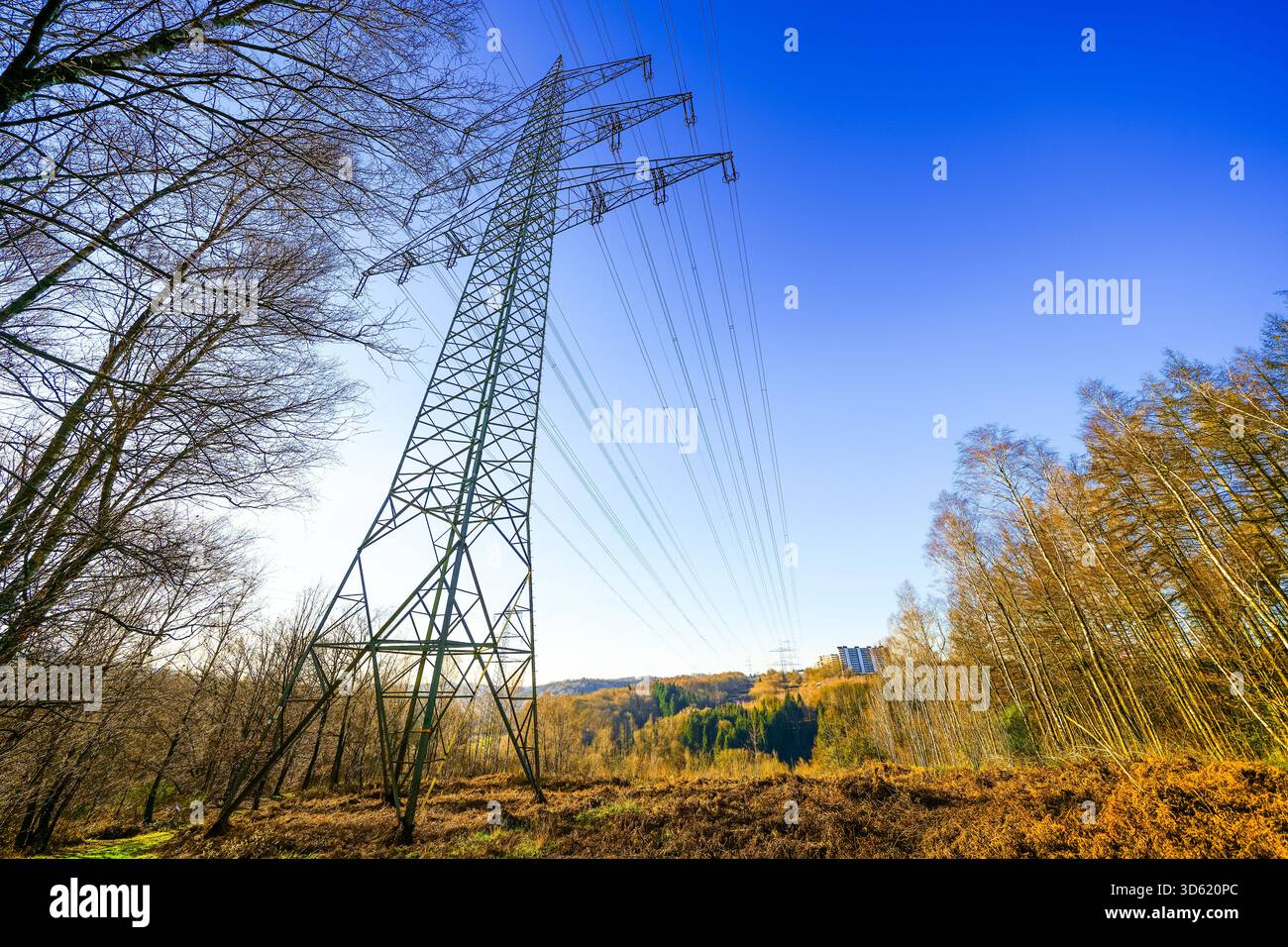 Paysage hivernal avec lignes électriques près de Wuppertal. Nature dans la forêt. Banque D'Images