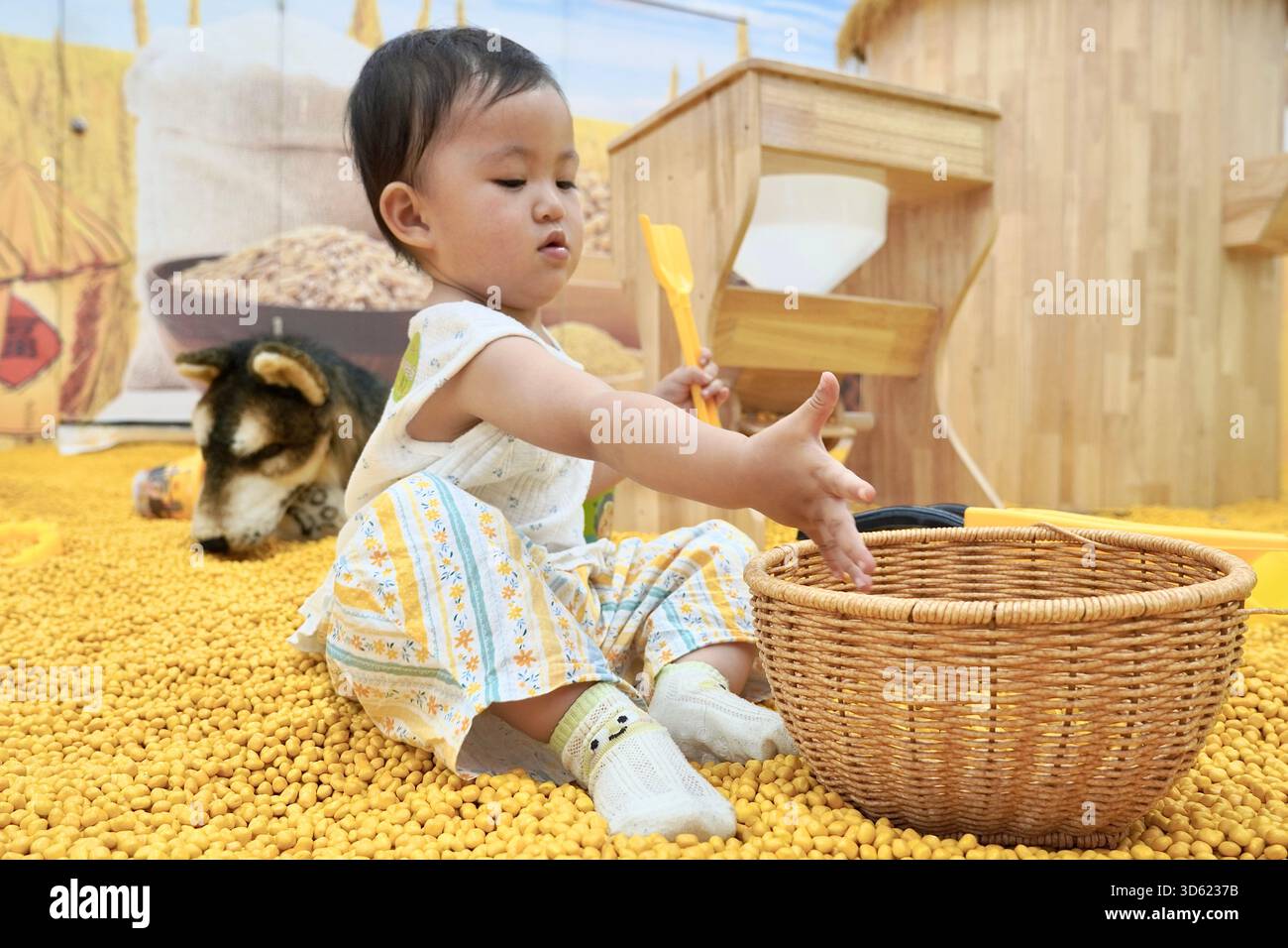 Un enfant en bas âge joue avec des jouets dans une aire de jeux remplie de pellets jaunes, avec une ferme - toile de fond à thème. Banque D'Images