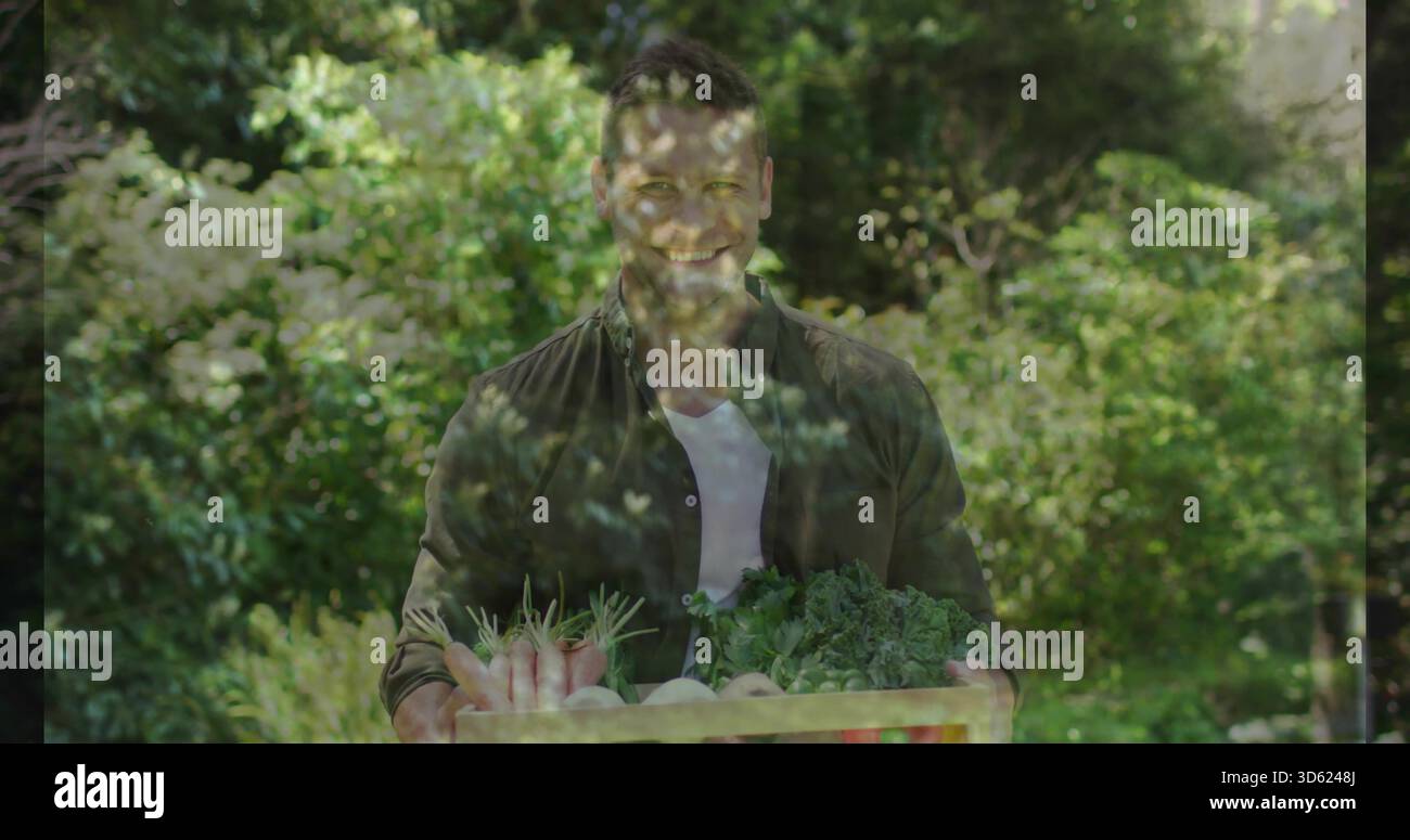 Souriant homme adulte portant chemise olive tenant boîte en bois dans le jardin avec des carottes, des verts feuillus Banque D'Images