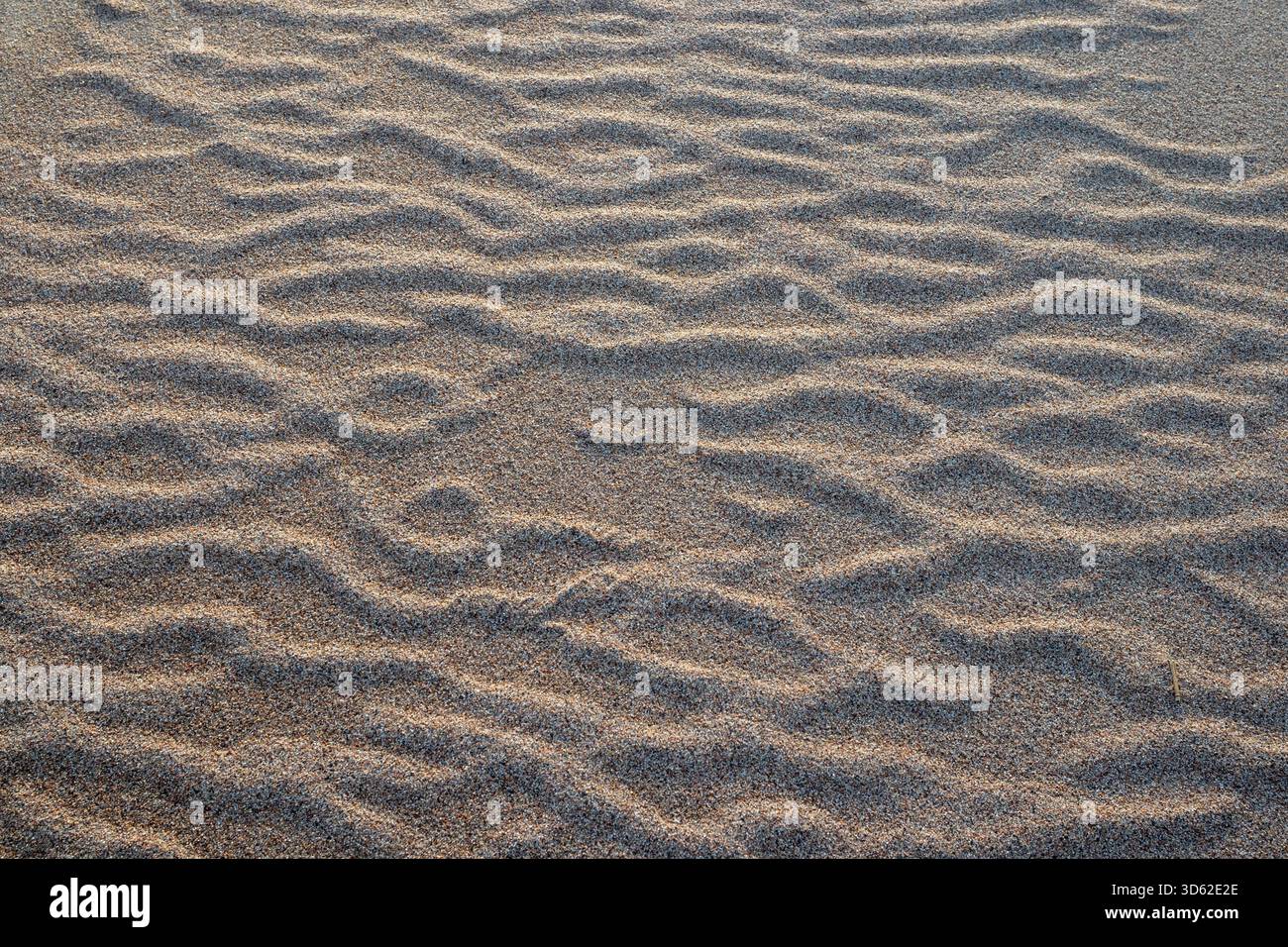 Fond de texture de motif d'ondulation de vent de sable ondulé de plage Banque D'Images