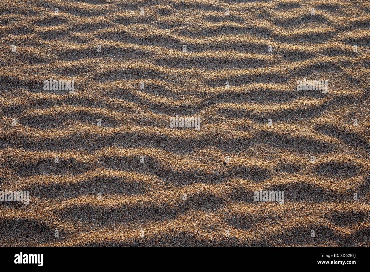 Fond de texture de motif d'ondulation de vent de sable ondulé de plage Banque D'Images