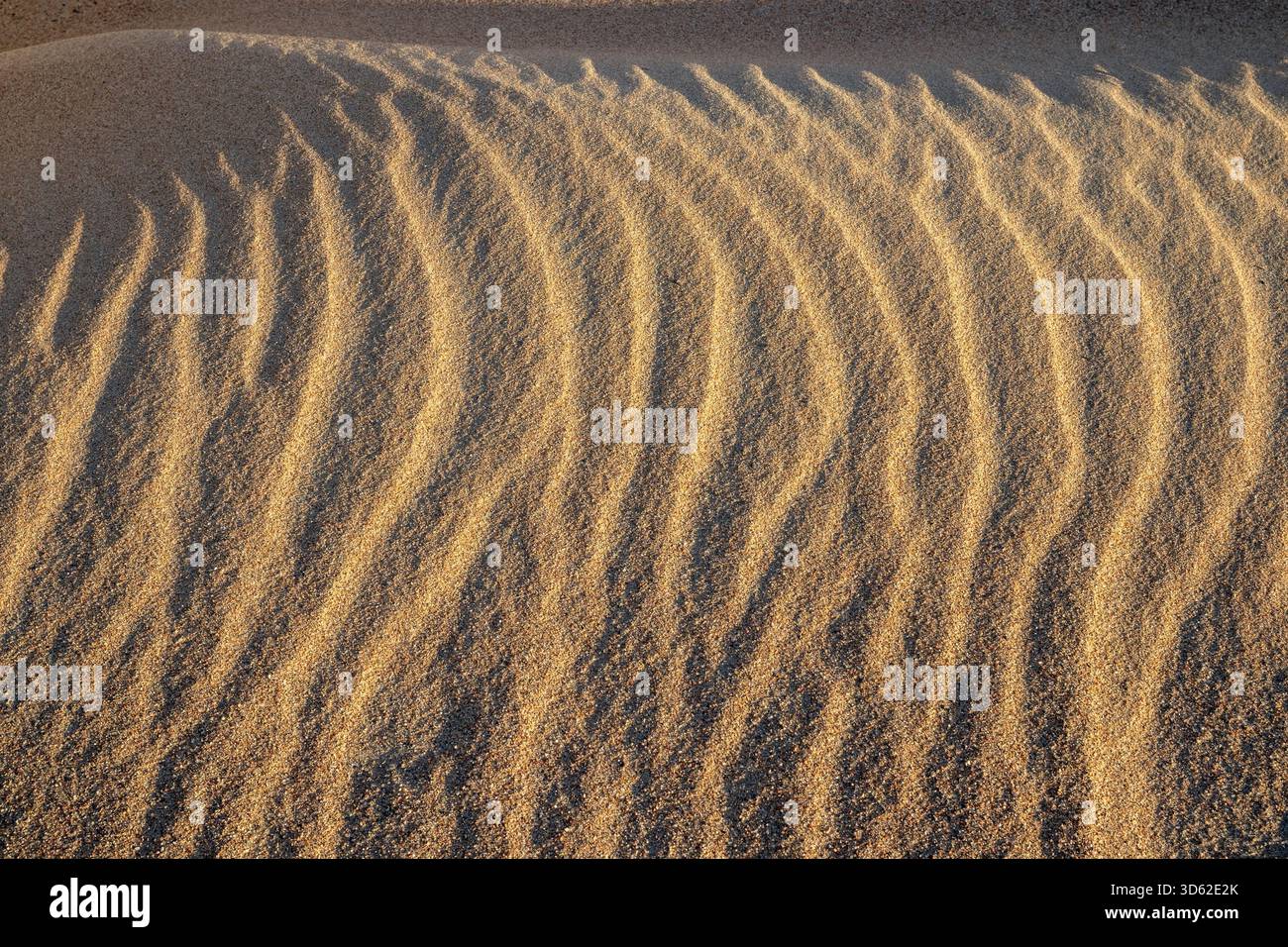 Fond de texture de motif d'ondulation de vent de sable ondulé de plage Banque D'Images