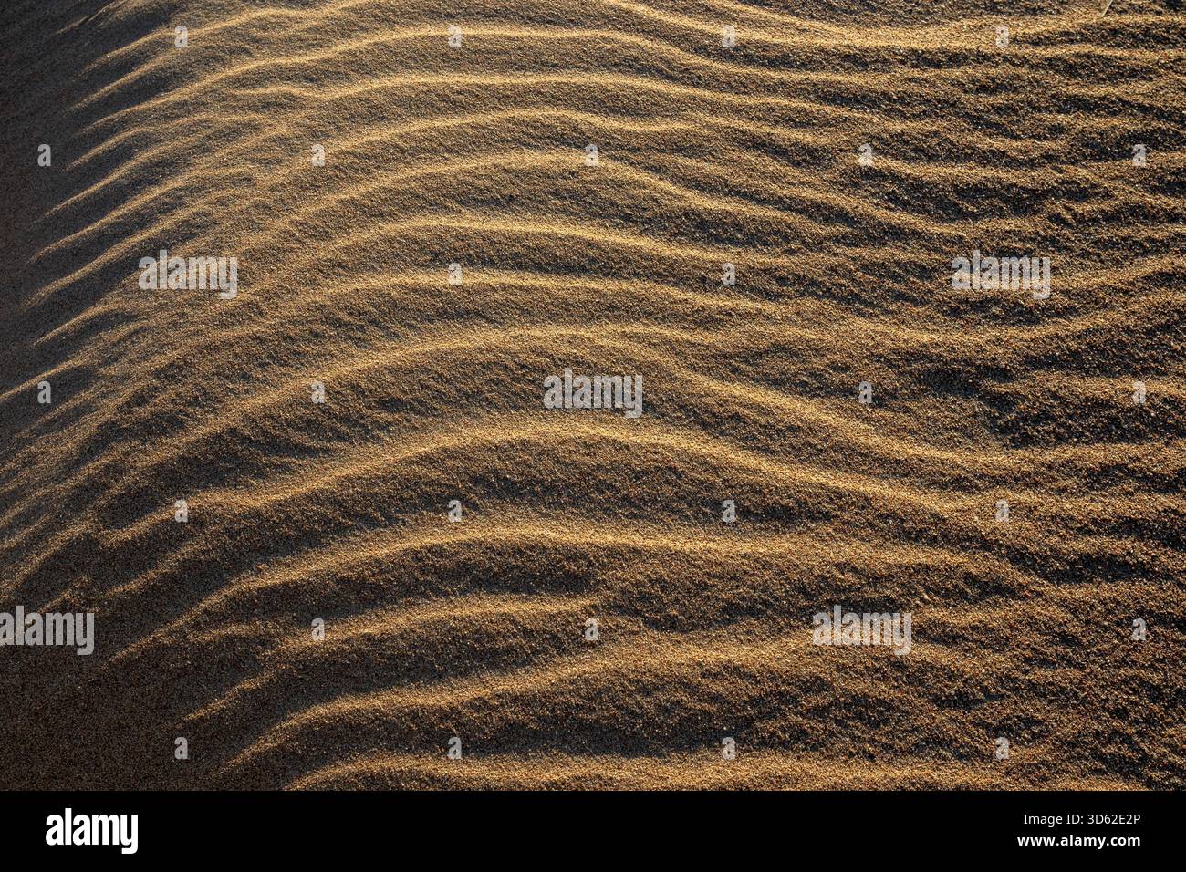 Fond de texture de motif d'ondulation de vent de sable ondulé de plage Banque D'Images