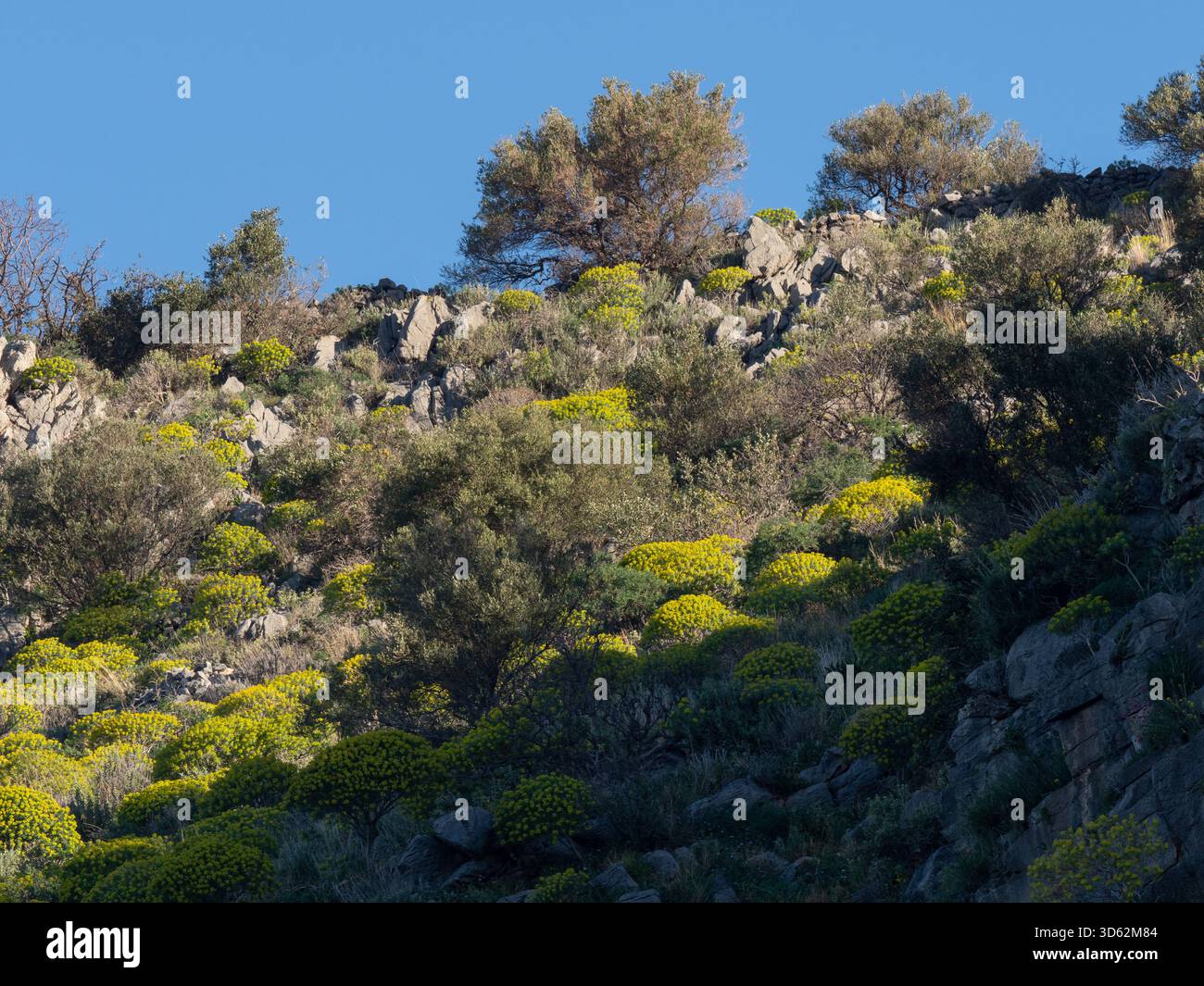 Paysage côtier près de Trahila sur la péninsule de Mani, Péloponnèse, Grèce Banque D'Images