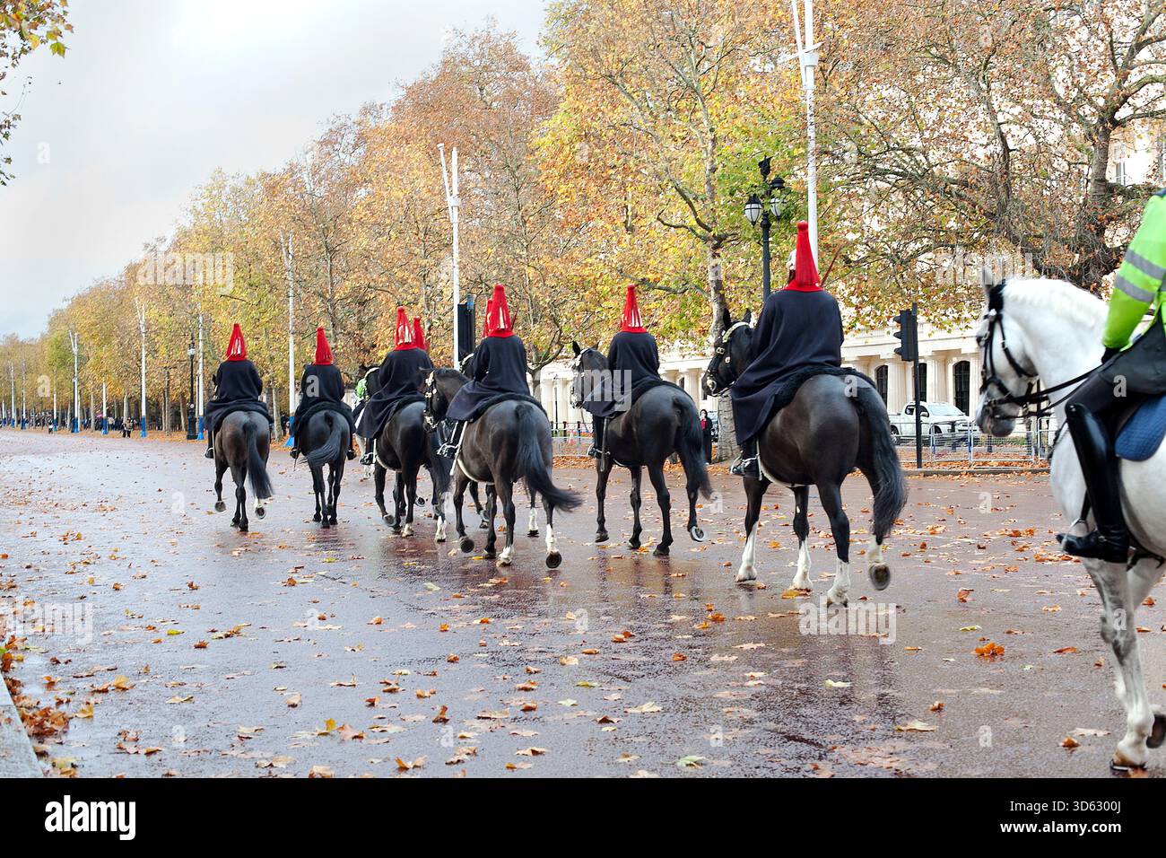 Les gardes du cheval du Roi. Banque D'Images