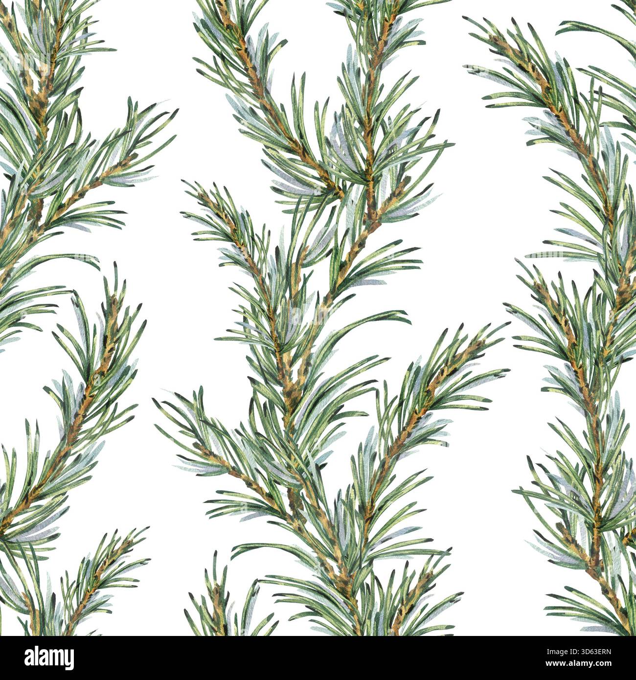 Un motif sans couture avec des branches de pin vert et de sapin sous la forme de guirlandes verticales. Illustration d'aquarelle dessinée à la main. Un Noël, nouvel an Banque D'Images
