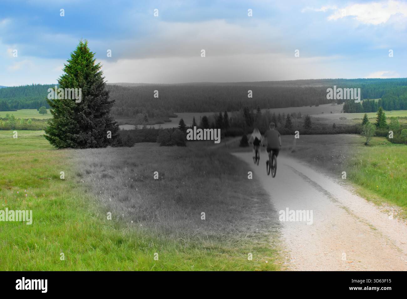 La dégénérescence maculaire (DMLA ou ARMD)- est une condition médicale qui peut entraîner une vision floue ou pas au centre du champ visuel. Banque D'Images