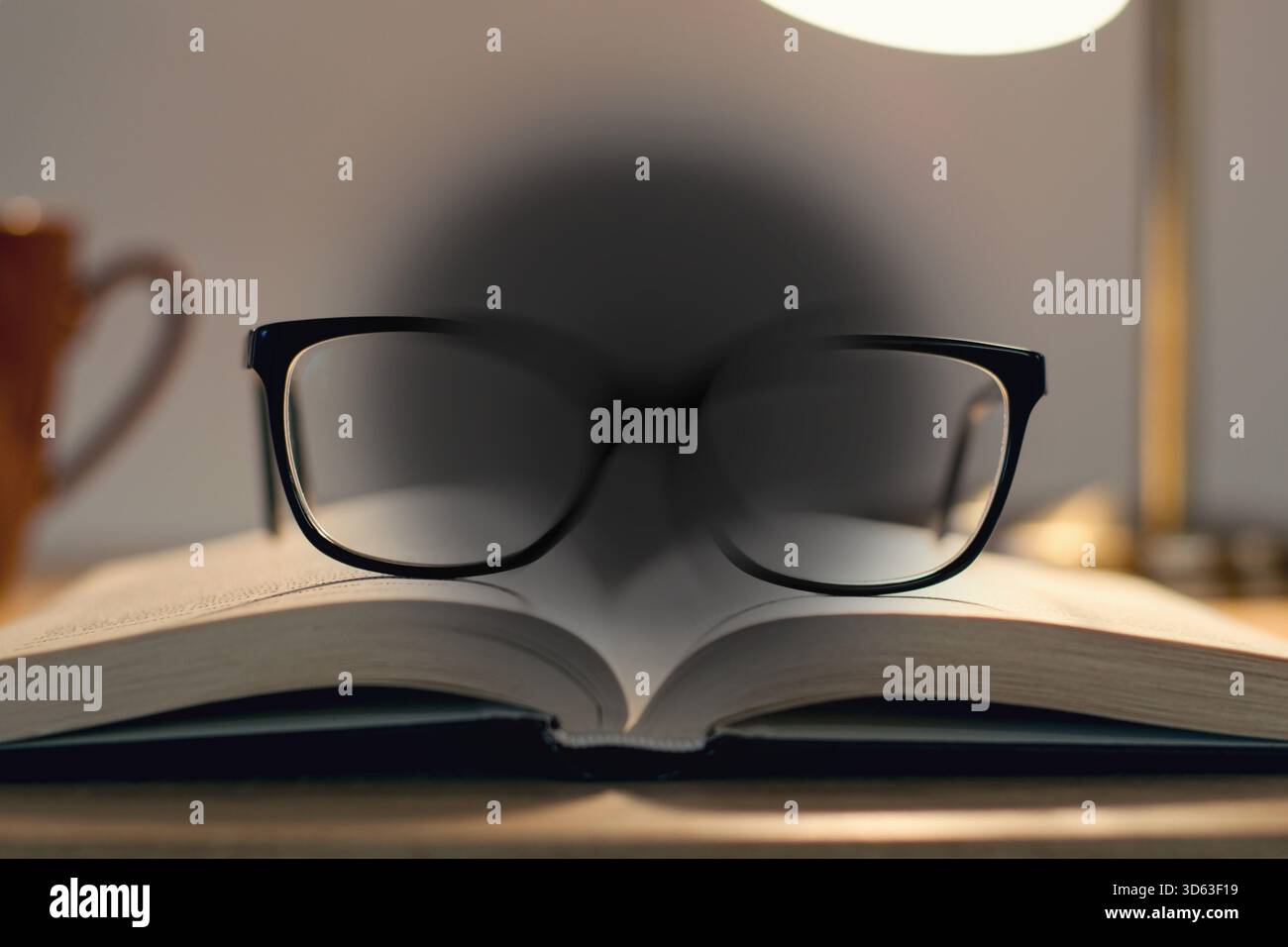 La dégénérescence maculaire (DMLA ou ARMD)- est une condition médicale qui peut entraîner une vision floue ou pas au centre du champ visuel. Banque D'Images