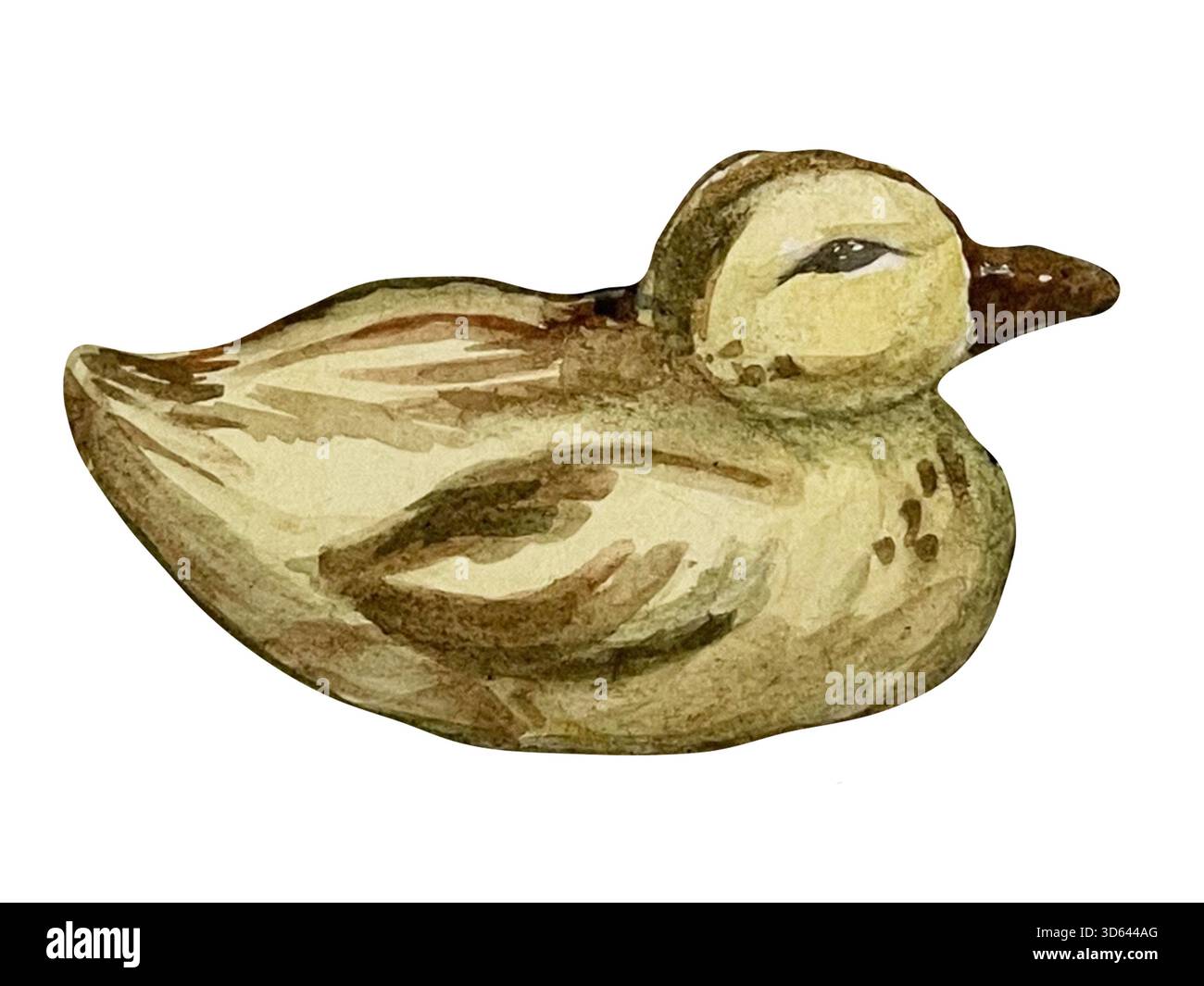 Ensemble clipart aquarelle avec canards sauvages, roseaux, fleurs de lotus, jumelles, sac à dos, coiffe, et peindre les textures. Parfait pour les conceptions sur le thème de la nature, l'Avent Banque D'Images