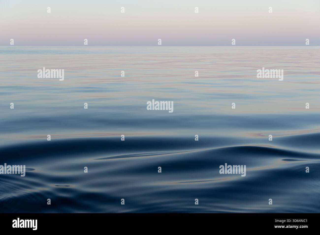 Verre mer calme. Golfe de Californie, basse-Californie du Sud, Mexique. Banque D'Images