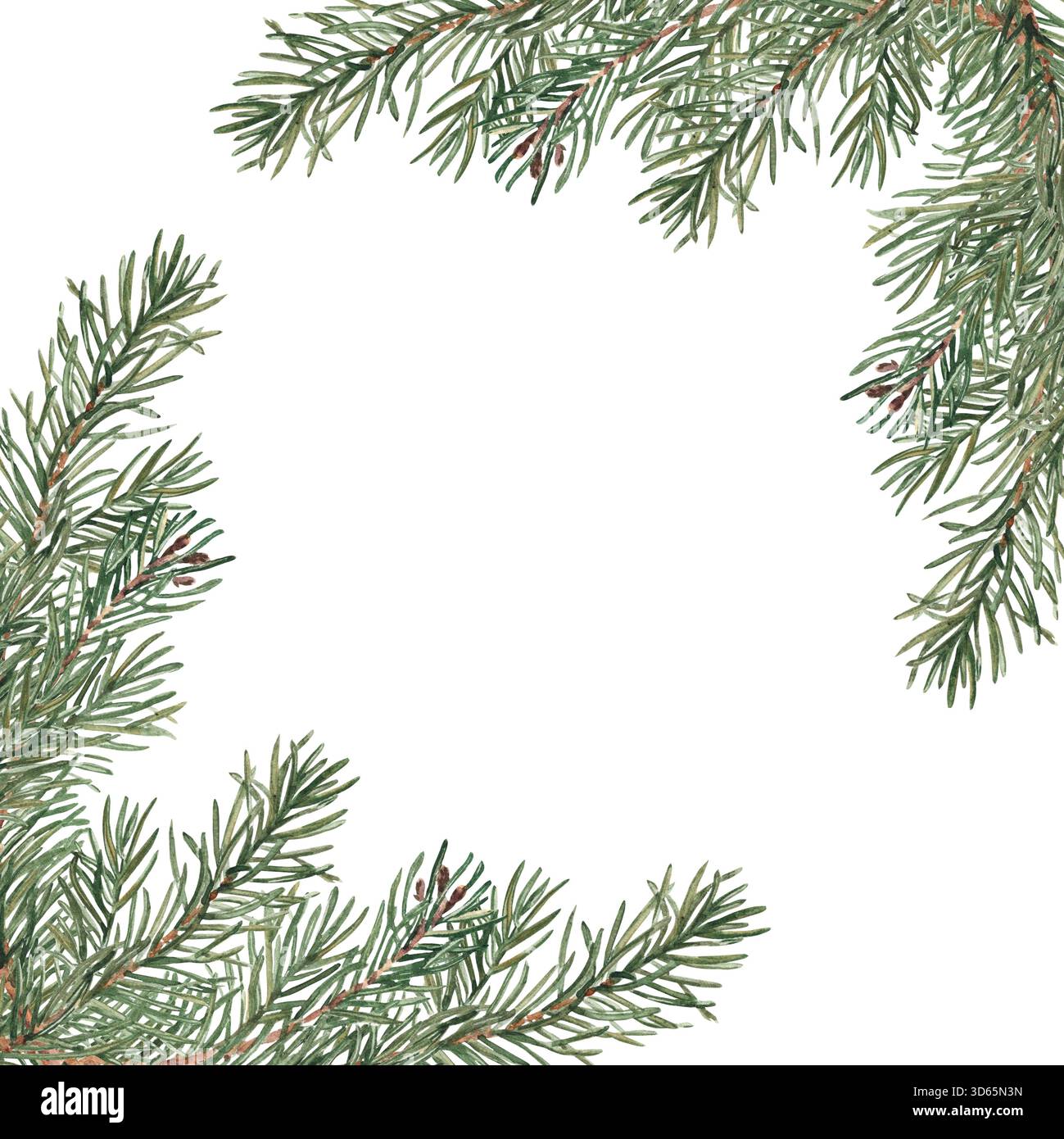 Branches de sapin cadre carré, bordure. Compositions de coin avec plantes d'hiver. Illustration à l'aquarelle dessinée à la main de branches de pin. Parfait pour Noël Banque D'Images