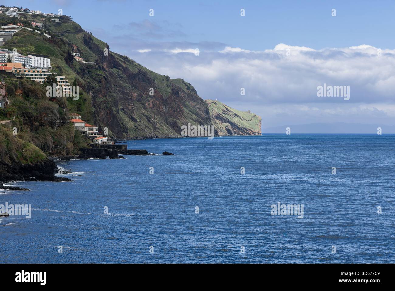Falaises côtières de l'île de Madère près de Funchal, pentes volcaniques escarpées couvertes d'une végétation verte s'élevant au-dessus de l'océan Atlantique sous une lumière douce du jour Banque D'Images