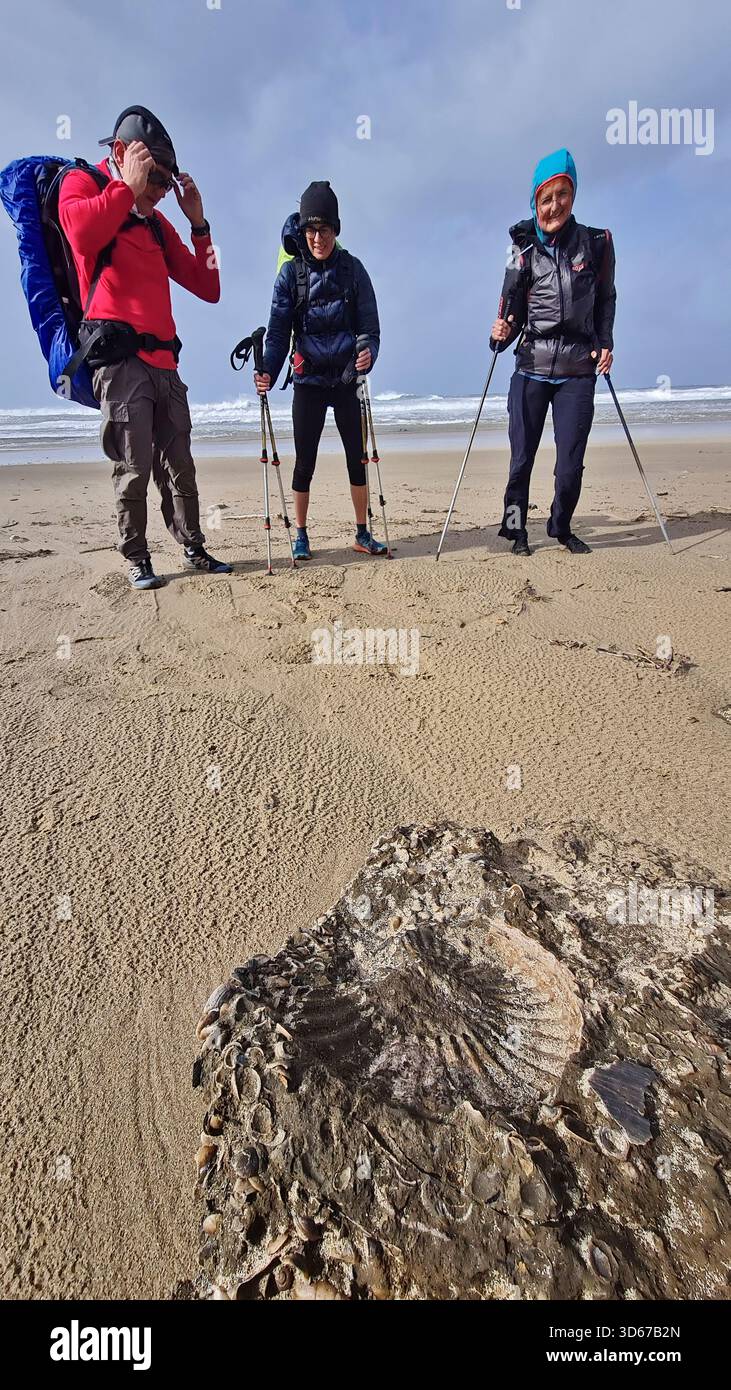 Trois personnes faisant de la randonnée devant une plage pétrifiée, Port Edwards, Wild Coast Trail, Wild Coast, Eastern Cape, Afrique du Sud Banque D'Images