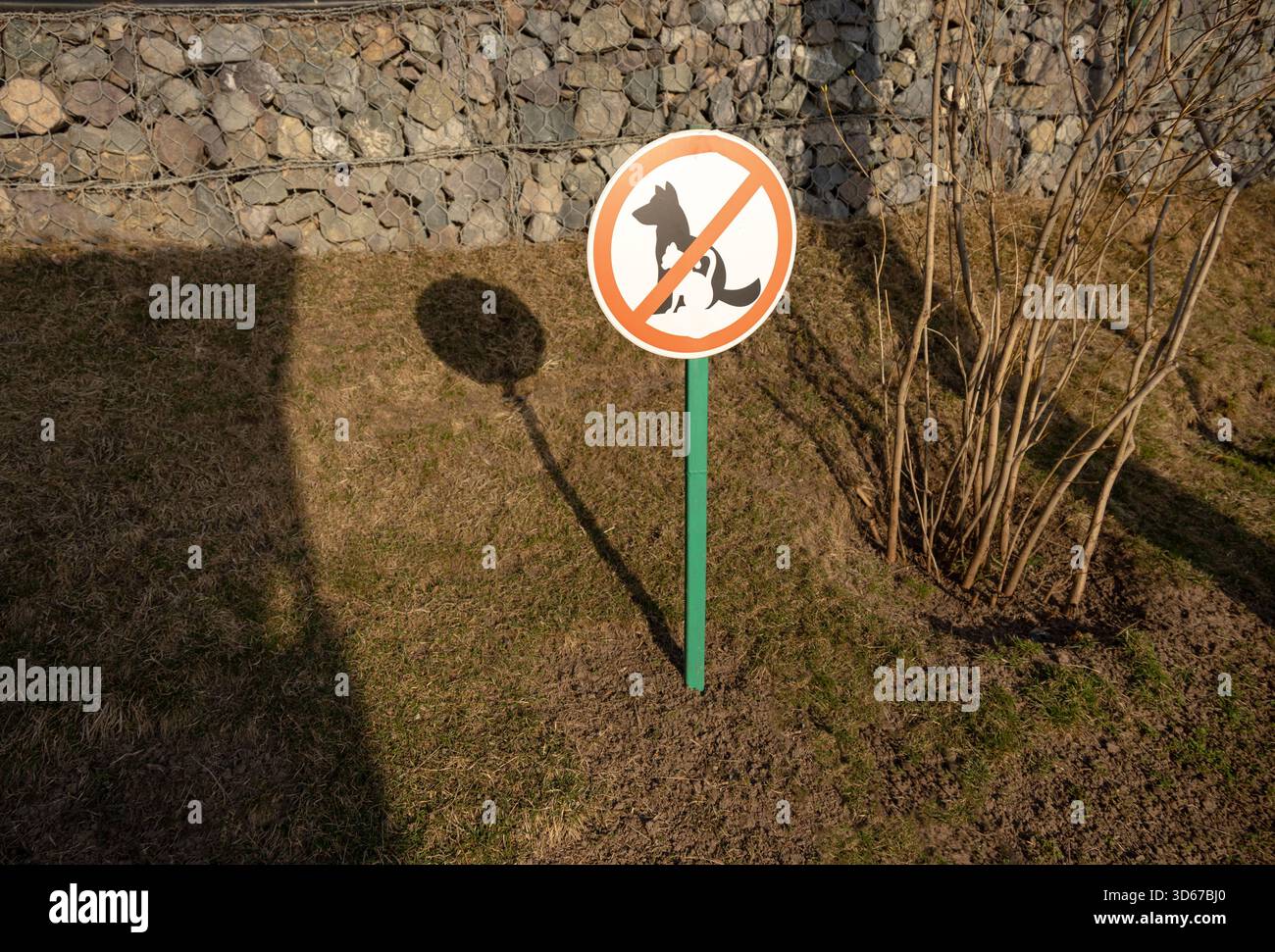 Panneau d'avertissement interdisant les chiens dans un parc herbeux avec de longues ombres l'après-midi et fond de mur de pierre Banque D'Images