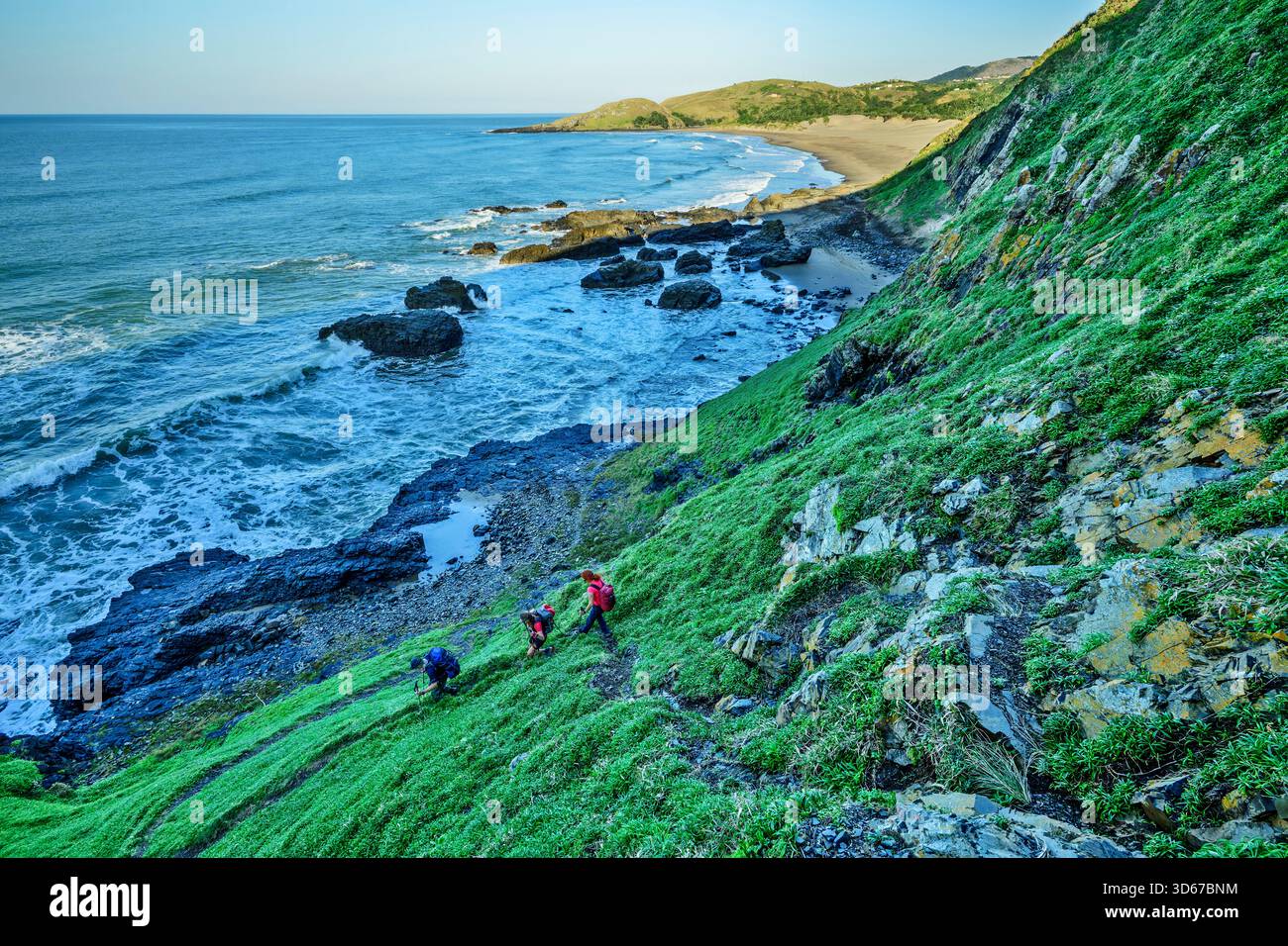 Trois personnes marchant sur une pente herbeuse à la plage, Wild Coast Trail, Wild Coast, Eastern Cape, Afrique du Sud Banque D'Images