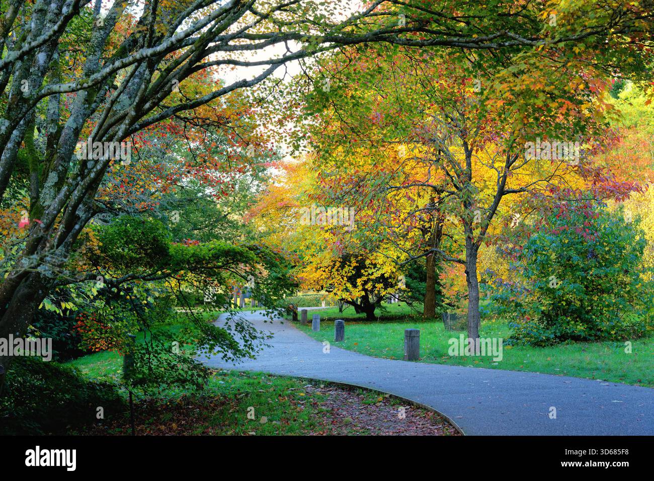 Les jardins RHS à Wakehurst place Ardingly sur une journée d'automne ensoleillée West Sussex England UK Banque D'Images