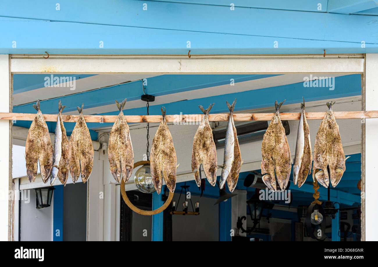 Le poisson Gouna, une technique de séchage au soleil pour les poissons gras tels que le maquereau suspendu à l'extérieur d'une taverne dans la ville de Naxos, île de Naxos, Cyclades, Grèce Banque D'Images
