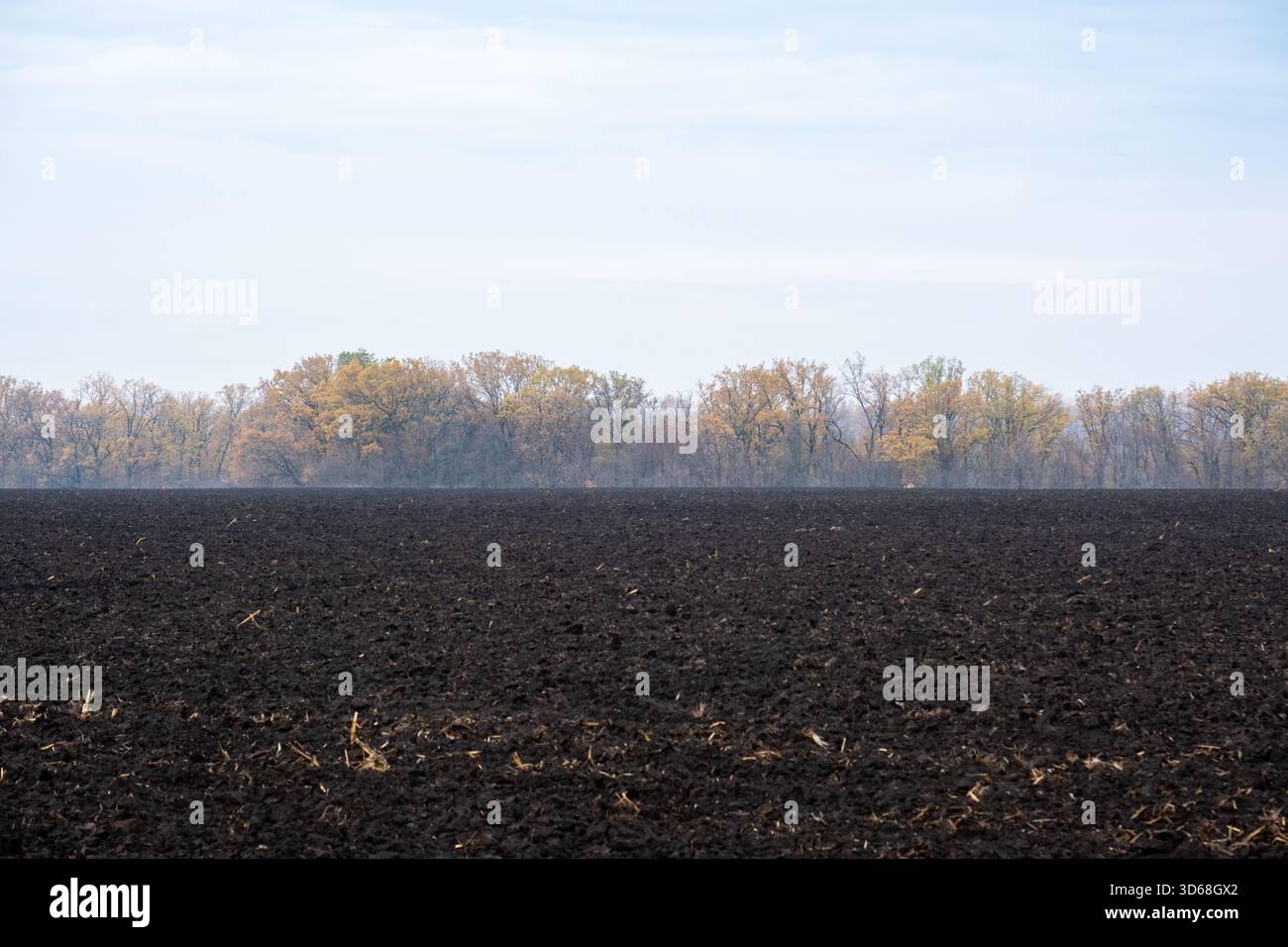 Large paysage horizontal d'un champ sombre et fraîchement labouré au premier plan, montrant une texture de sol riche. Une ligne d'arbres se trouve sous un ciel brumeux, offrant un espace de copie suffisant. Scène agricole d'automne. Banque D'Images