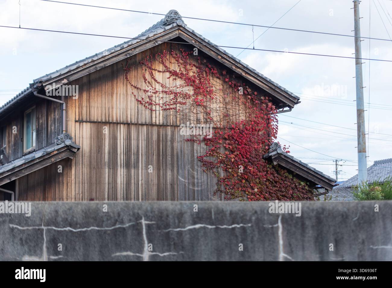 Vieille maison en bois recouverte de vignes rouges d'automne Banque D'Images