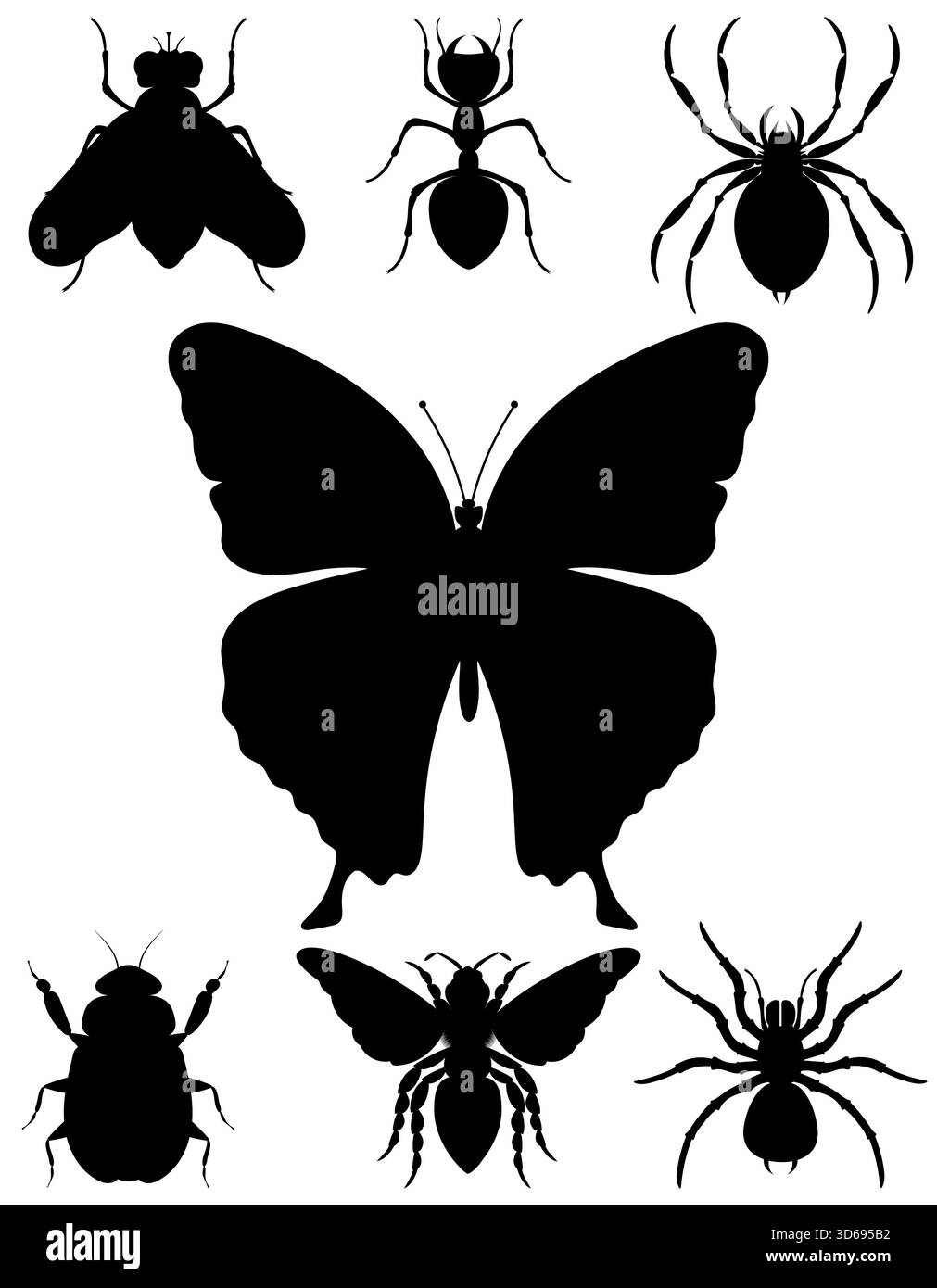 insectes et insectes animaux sauvages illustration vectorielle stock d'animaux sauvages isolés sur fond blanc Banque D'Images