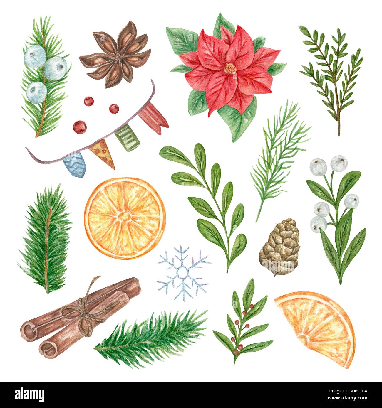 Un ensemble d'éléments de Noël aquarelle, y compris la verdure, poinsettia, pin, orange, cannelle, pomme de pin, anis, drapeaux, baies, flocon de neige. Une illustration de Noël pour les cartes de voeux décor de vacances. Banque D'Images