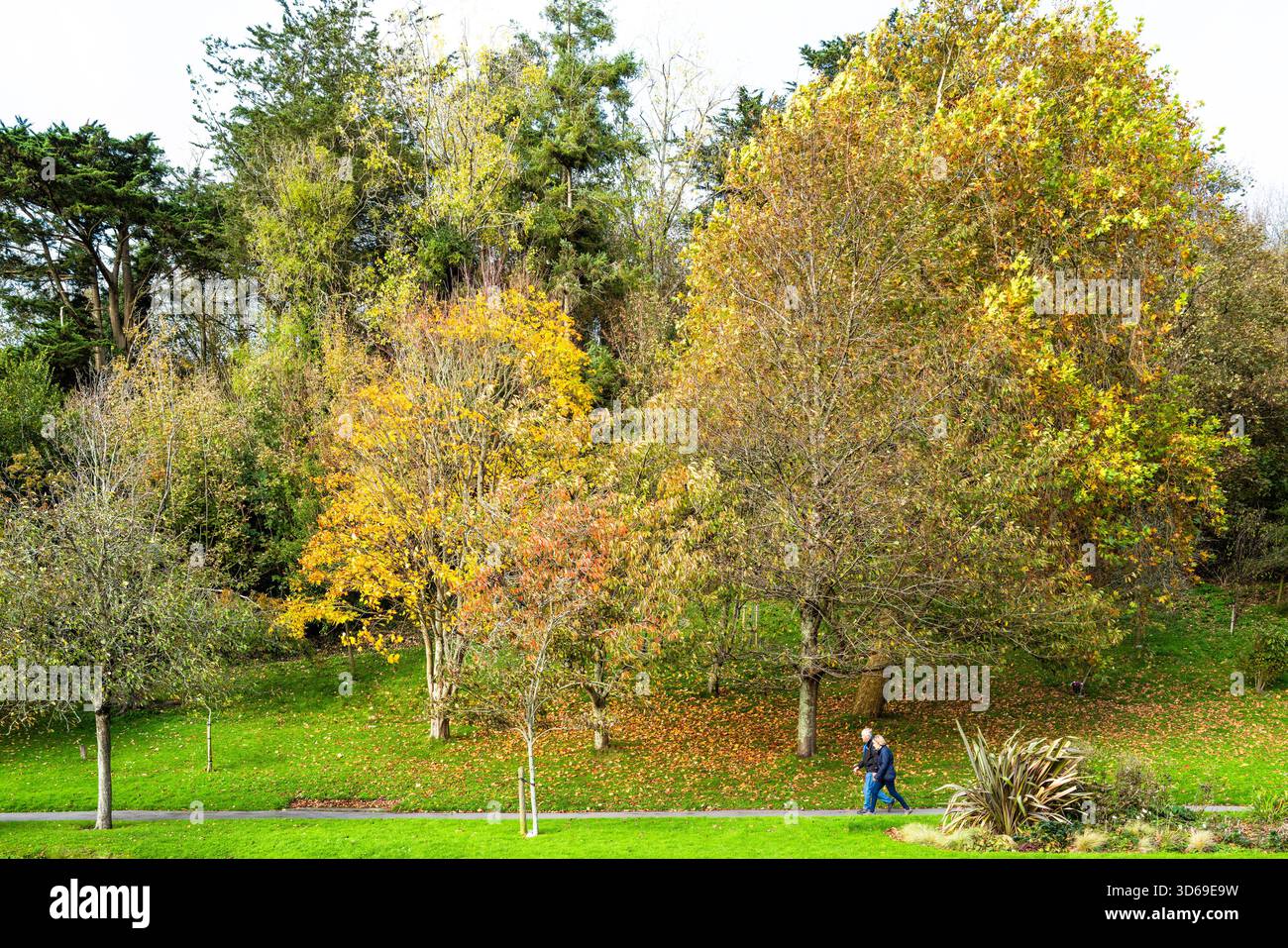 Automne dans les jardins historiques de Trenance à Newquay en Cornouailles en Angleterre au Royaume-Uni. Banque D'Images