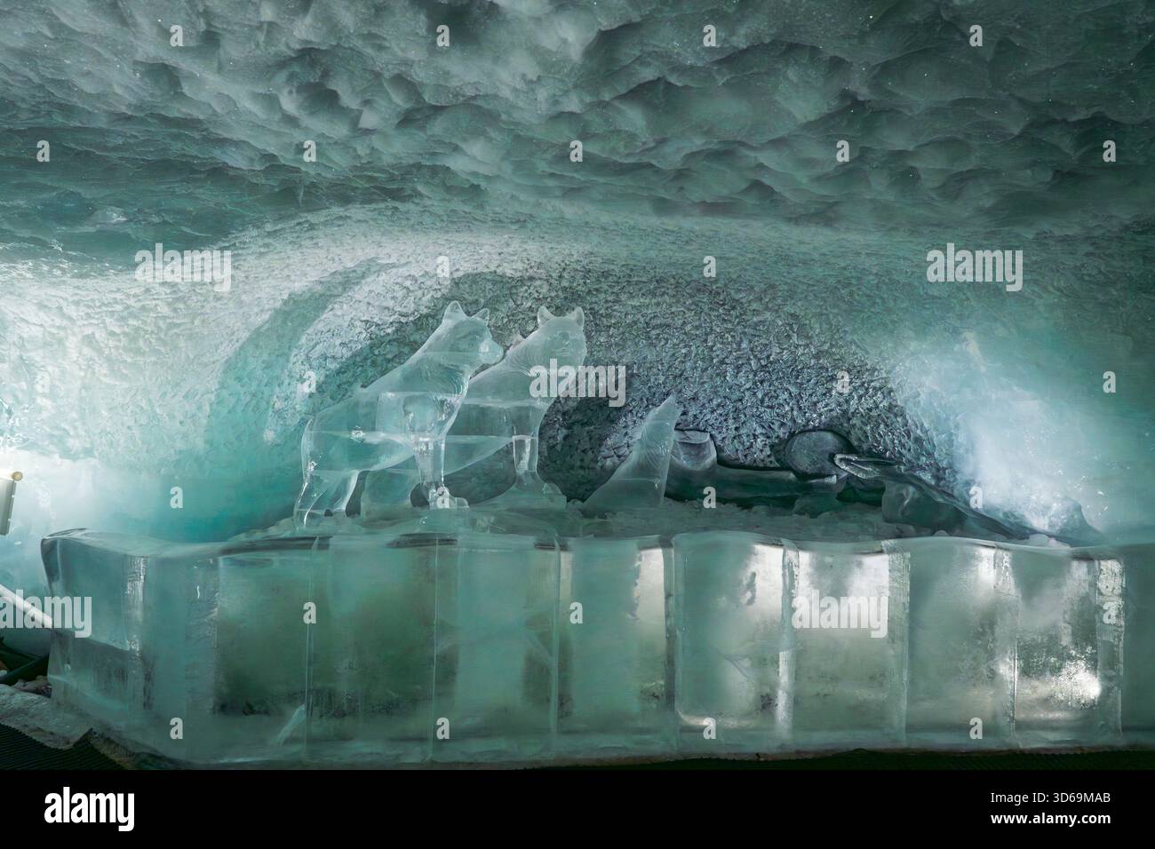 Sculpture de glace complexe d'un loup et d'un homme exposée à l'intérieur de Glacier Paradise, Zermatt, avec un environnement glaciaire et une ambiance alpine. Banque D'Images