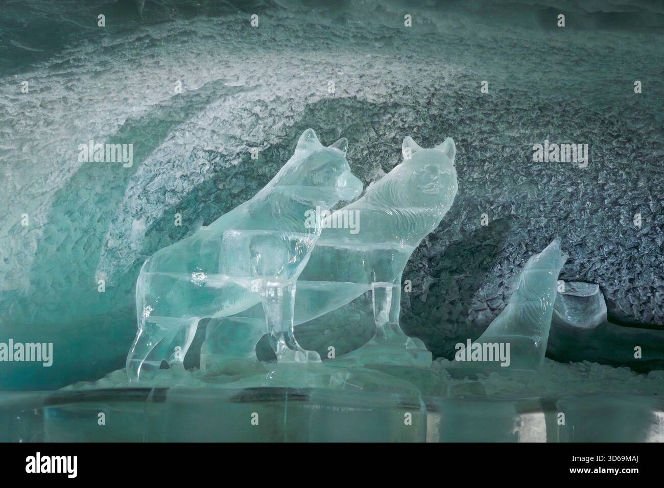 Sculpture de glace complexe d'un loup et d'un homme exposée à l'intérieur de Glacier Paradise, Zermatt, avec un environnement glaciaire et une ambiance alpine. Banque D'Images