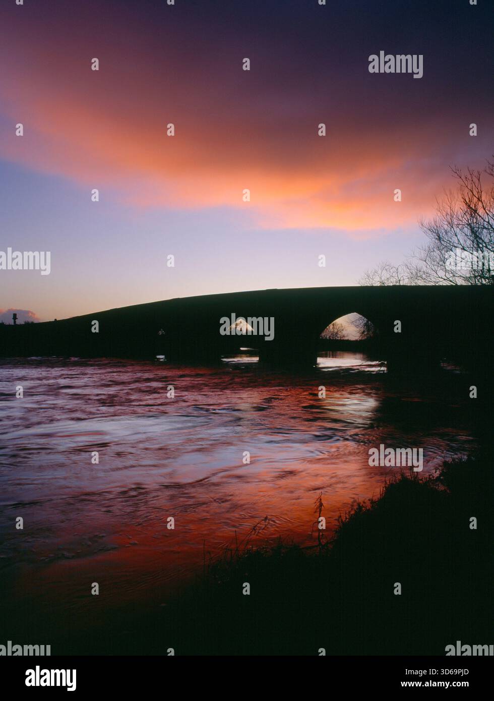 Vue SW de la pièce de remplacement C18th du pont Swarkestone transportant l'A514 sur le canal principal de la rivière Trent au sud de Derby, Angleterre, Royaume-Uni. Banque D'Images