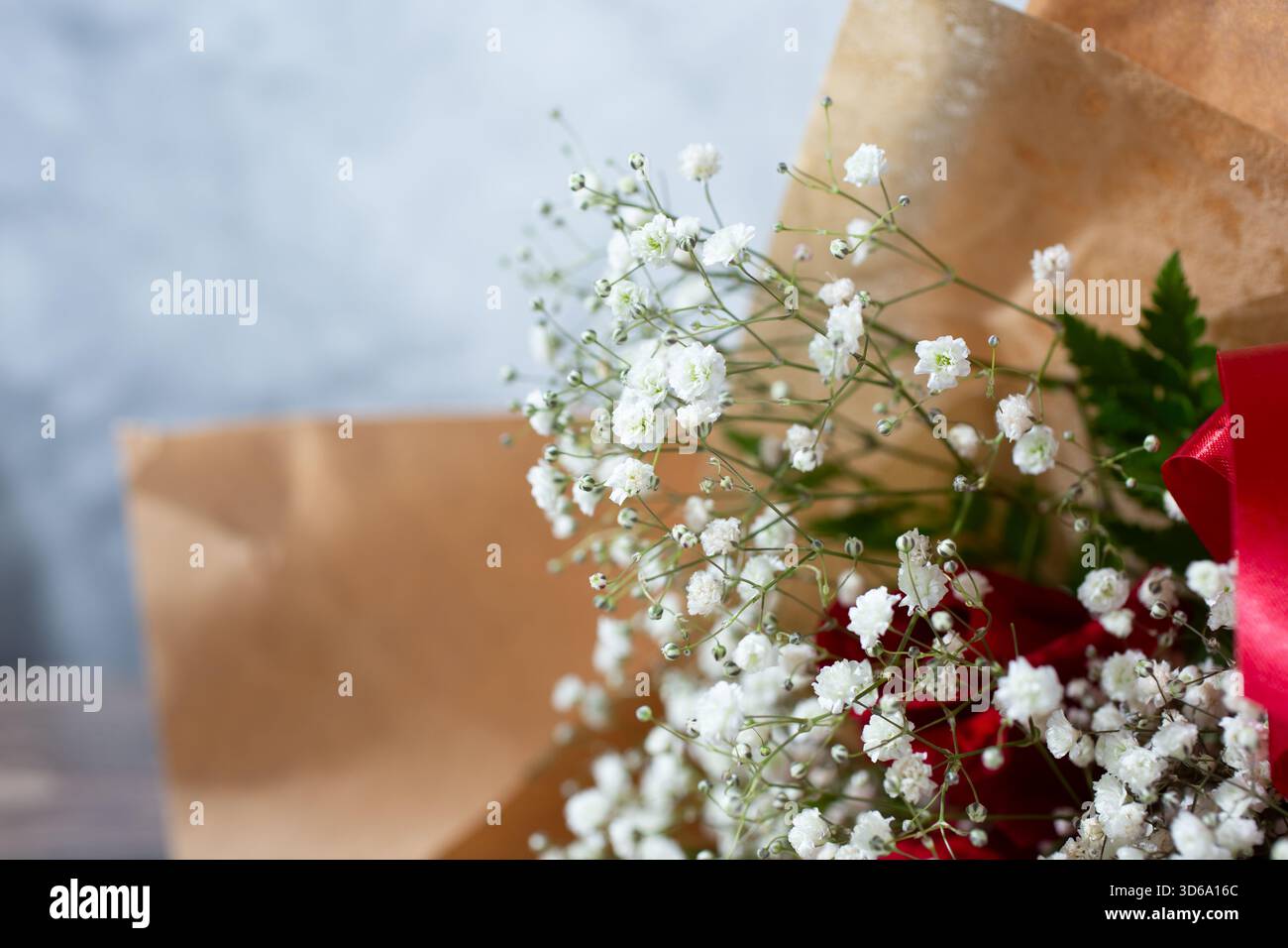 Une vue des fleurs d'haleine de bébé. Banque D'Images